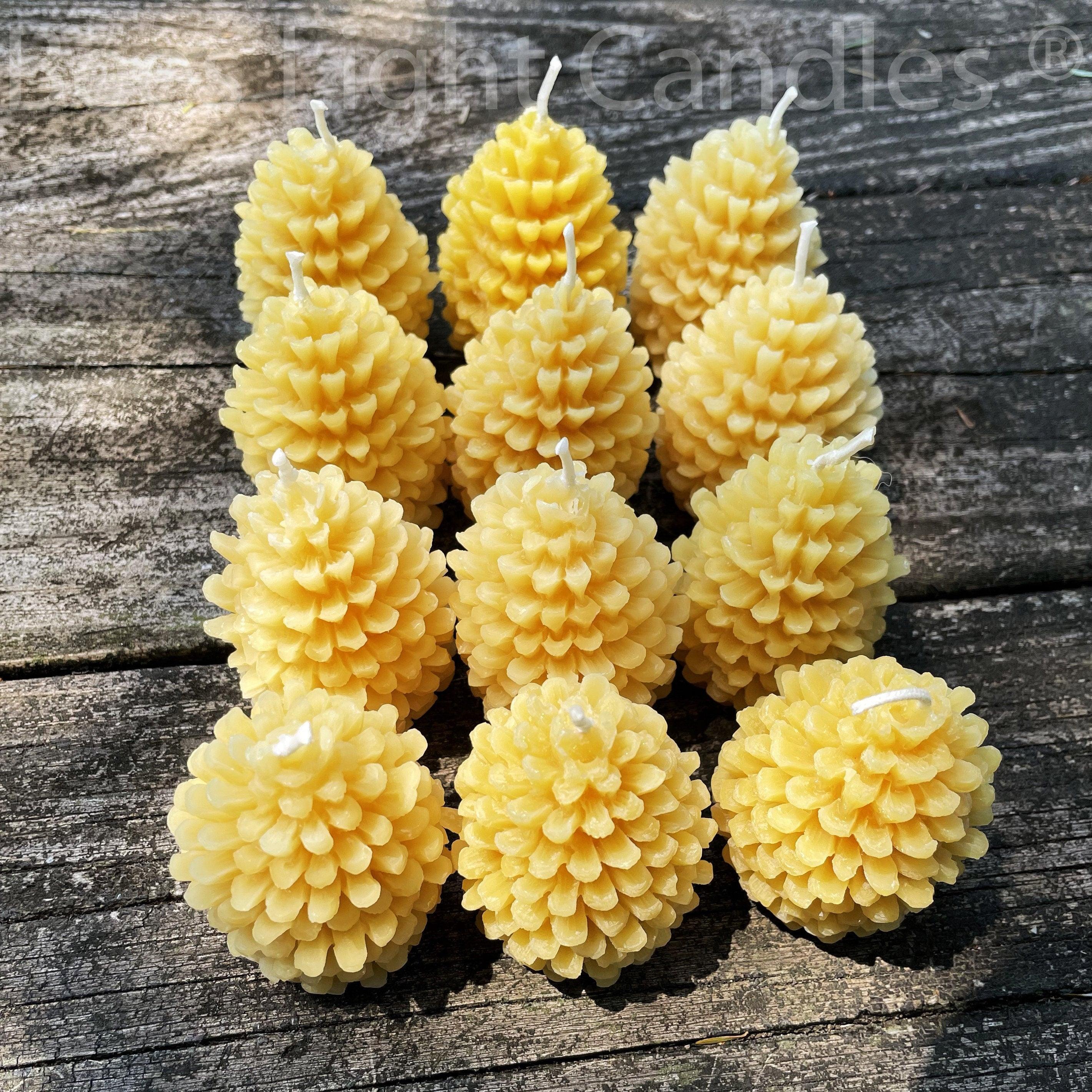 One Dozen Pinecone Beeswax Candles - Image 3