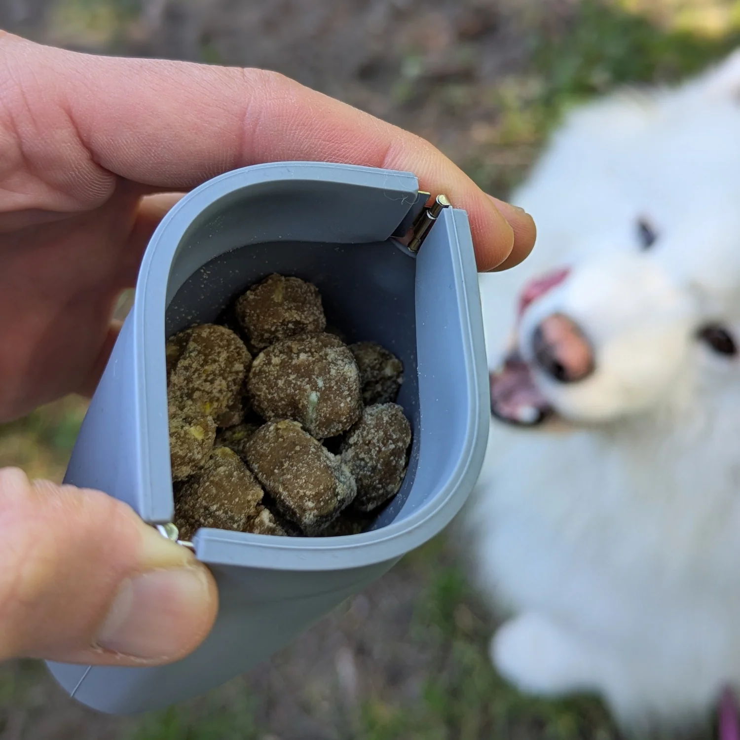 One-Hand Treat Training Pouch - Image 9