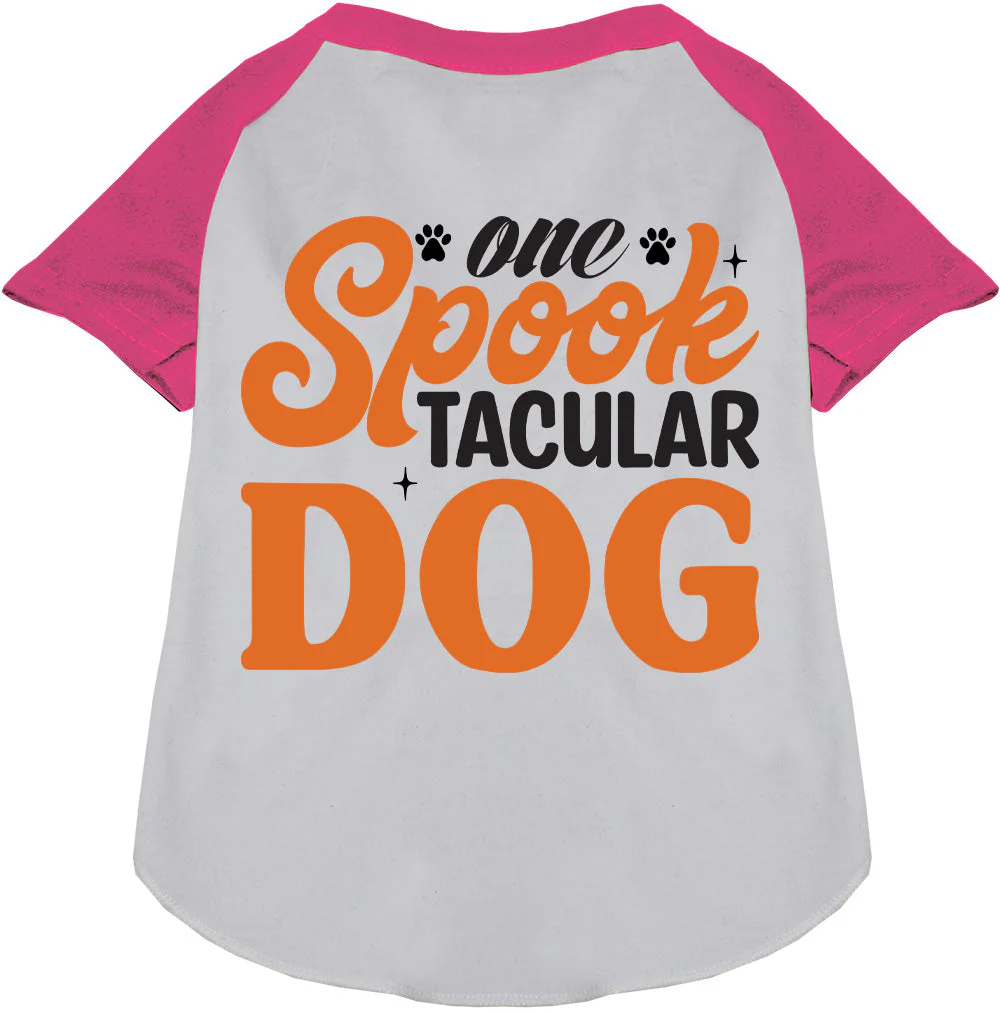 One Spooktacular Dog Pet Raglan Shirt - Image 4