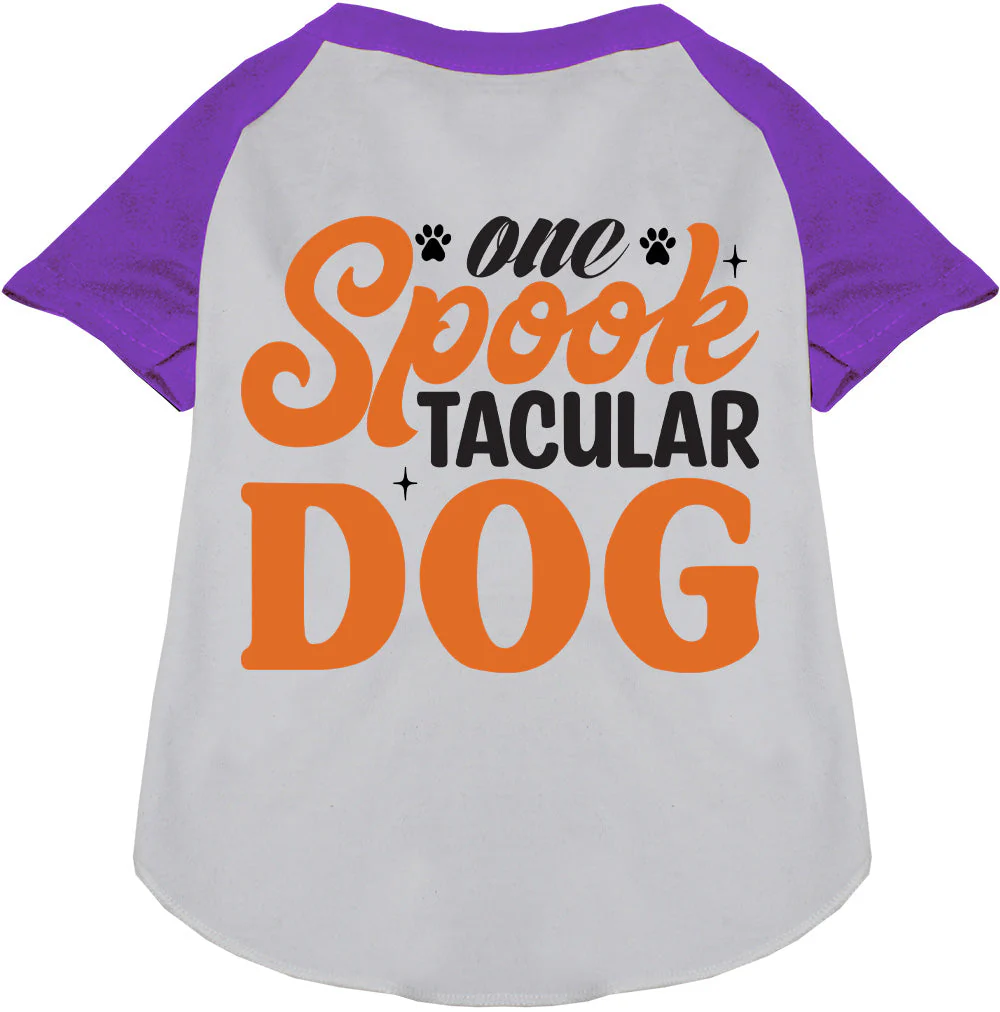 One Spooktacular Dog Pet Raglan Shirt - Image 6