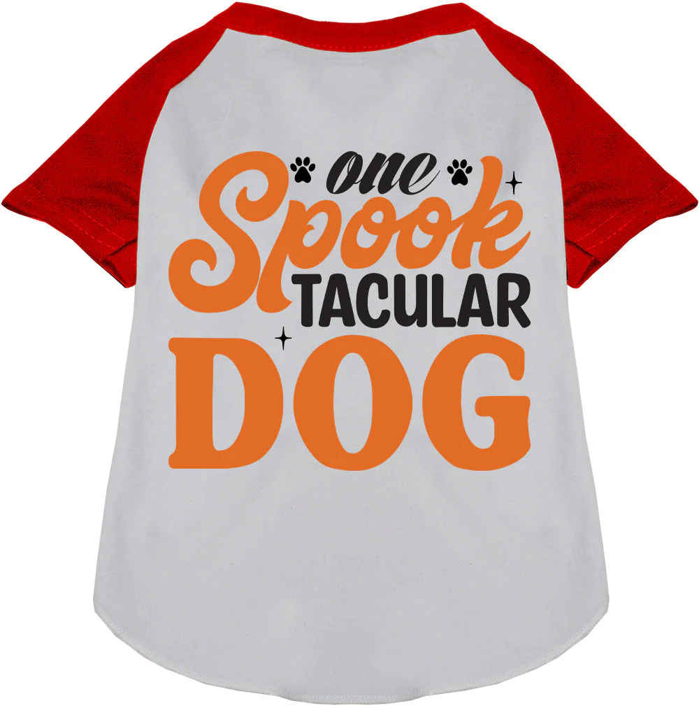One Spooktacular Dog Pet Raglan Shirt - Image 7