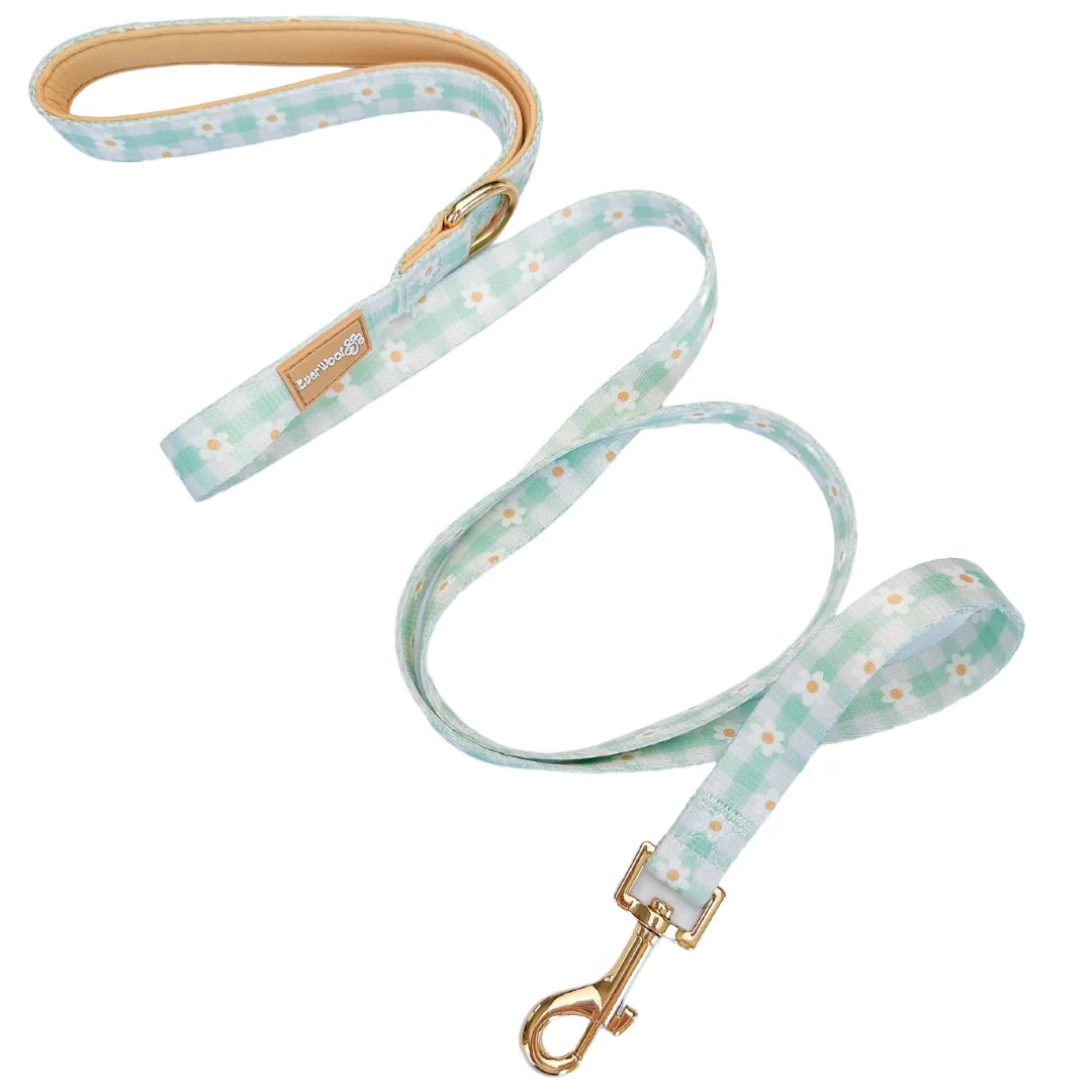 Oopsie Daisy! Leash - Image 3