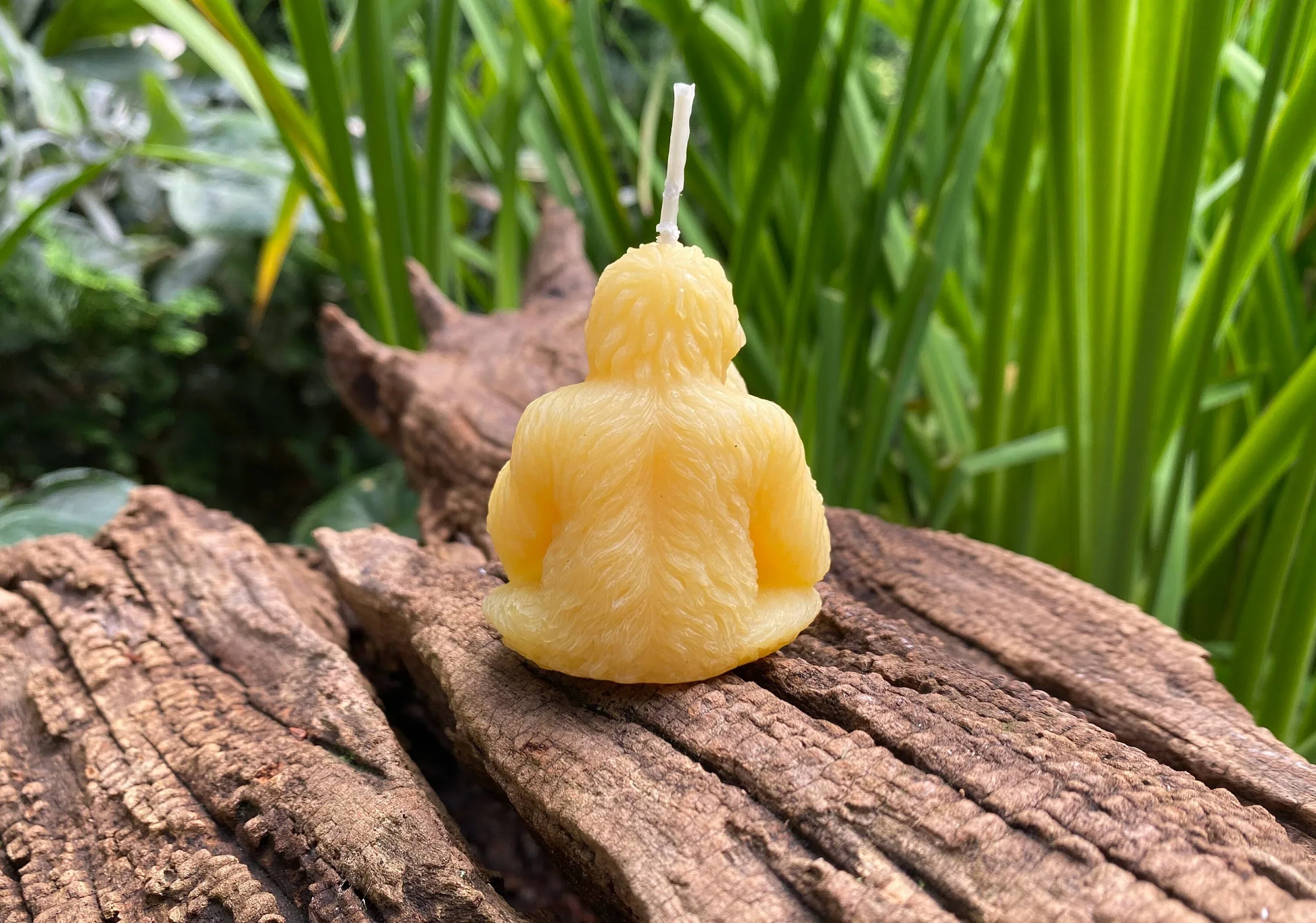 Orangutan Beeswax Candle - Image 2