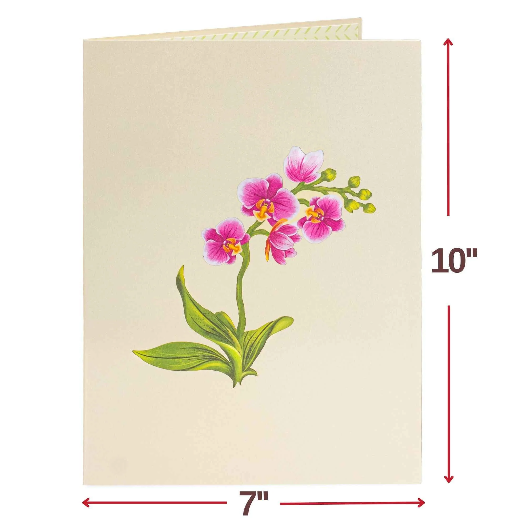 Orchid Flower Bouquet Pop-Up Card with Keepsake - Image 3