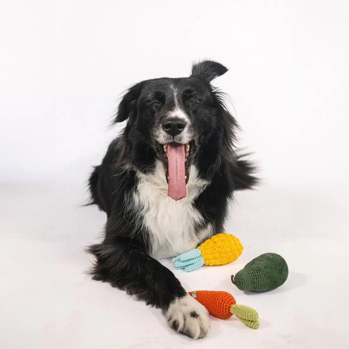 Organic Veggie Toys Bundle - Image 4