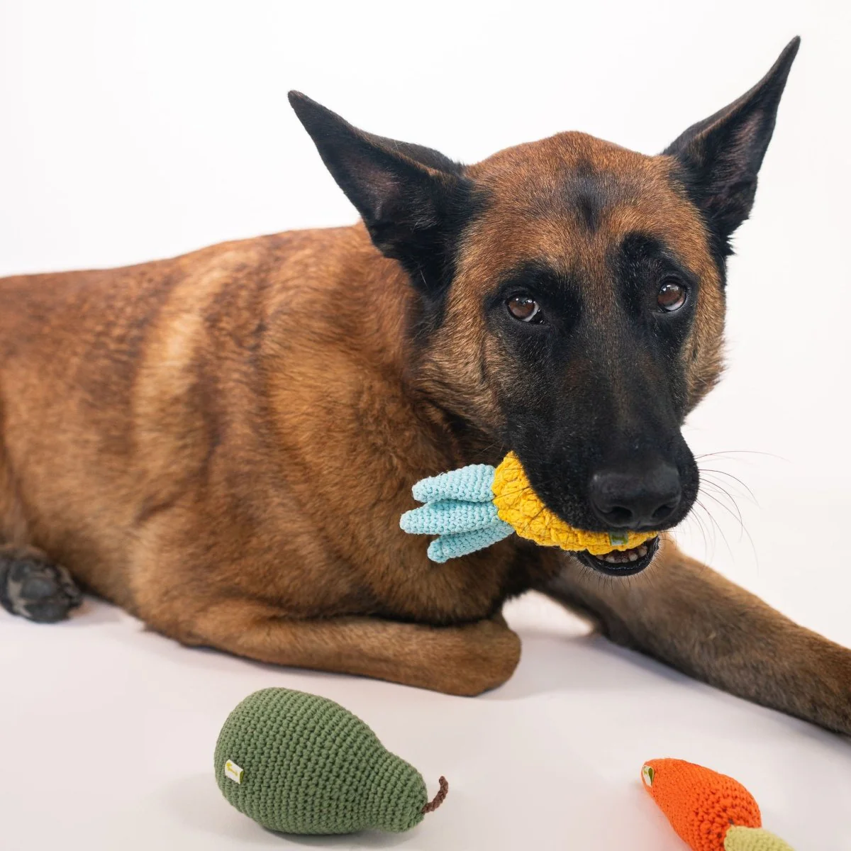 Organic Veggie Toys Bundle - Image 5
