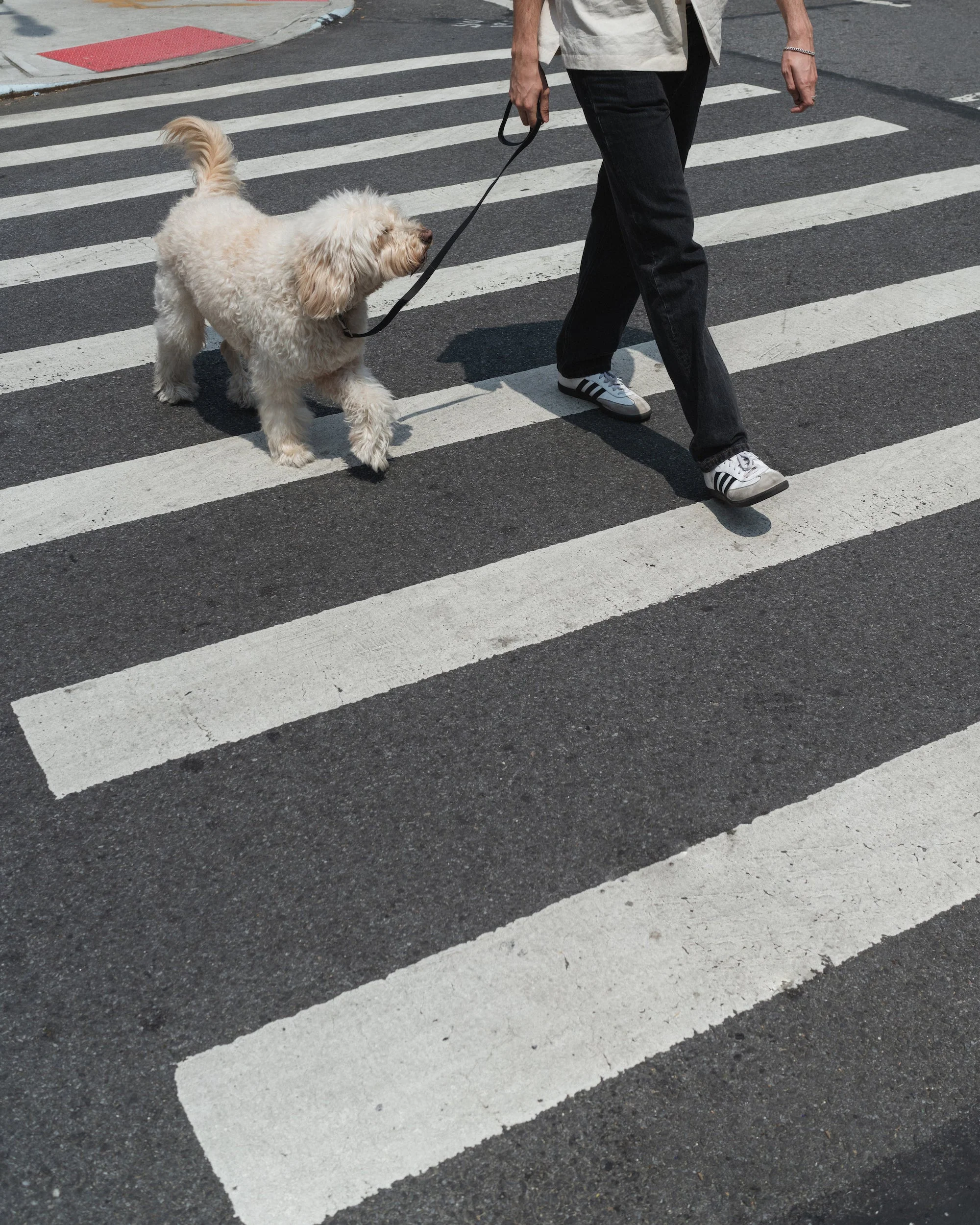 Original City Dog Leash - 3.25ft - Image 2