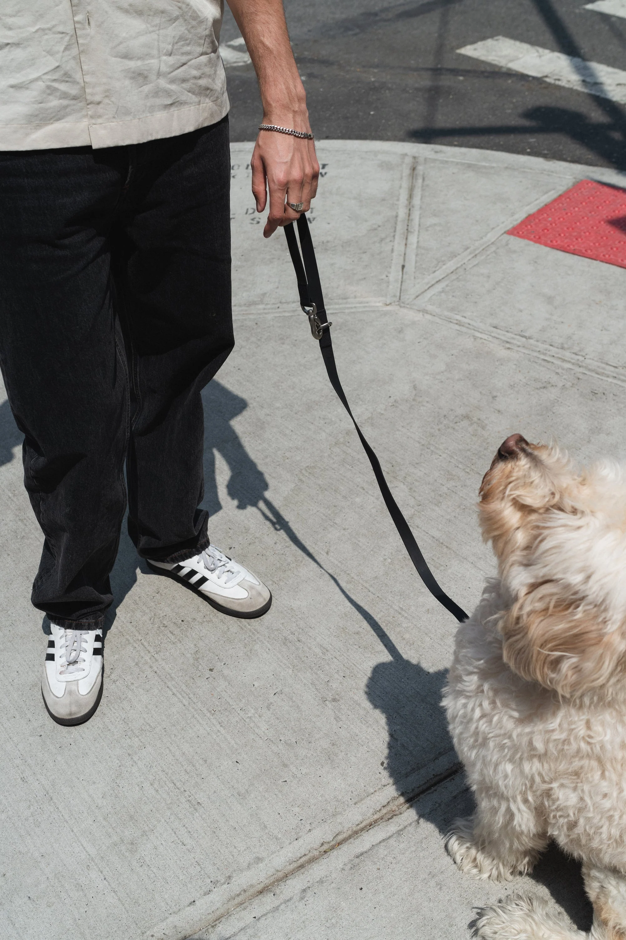 Original City Dog Leash - 3.25ft - Image 4