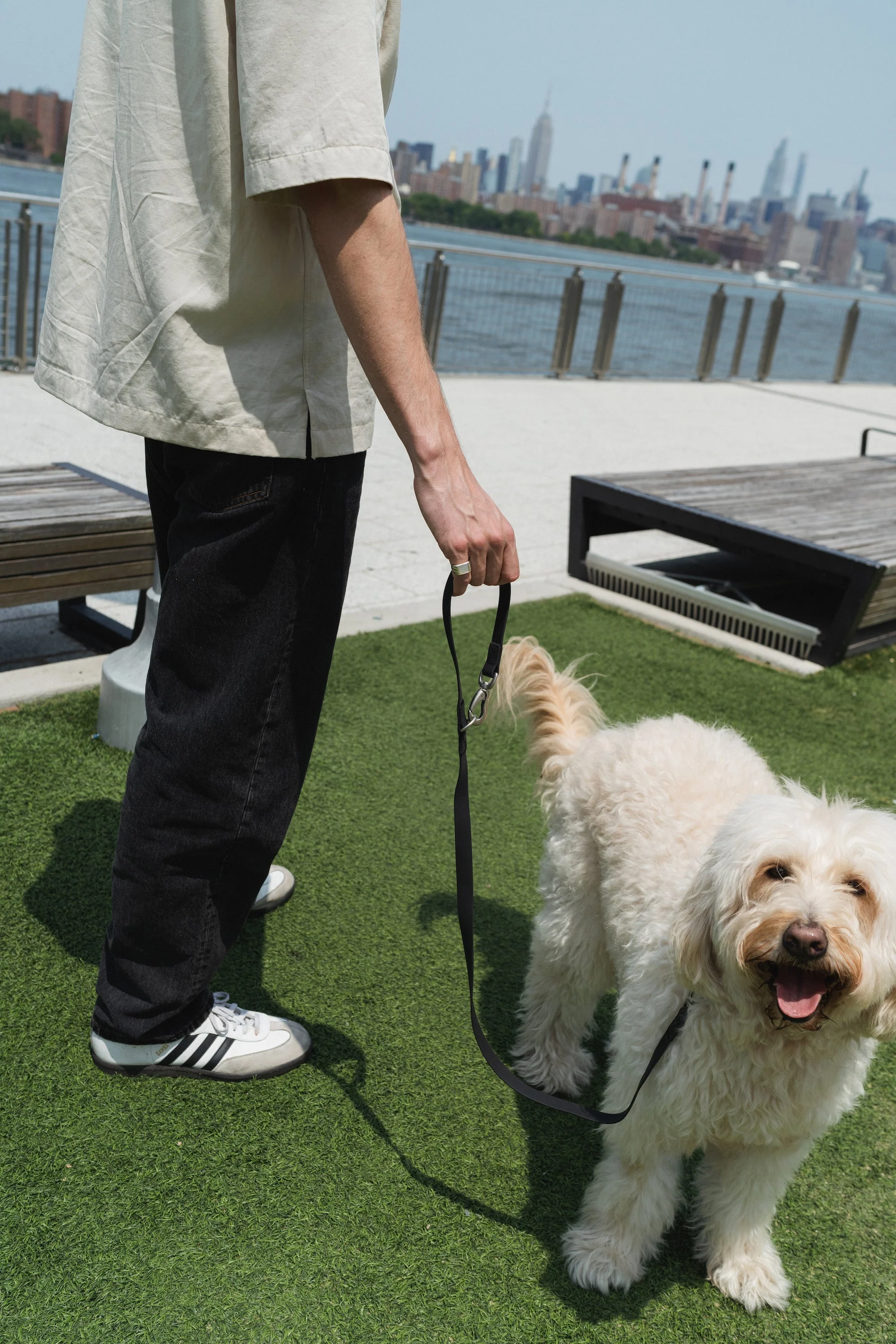 Original City Dog Leash - 3.25ft - Image 6