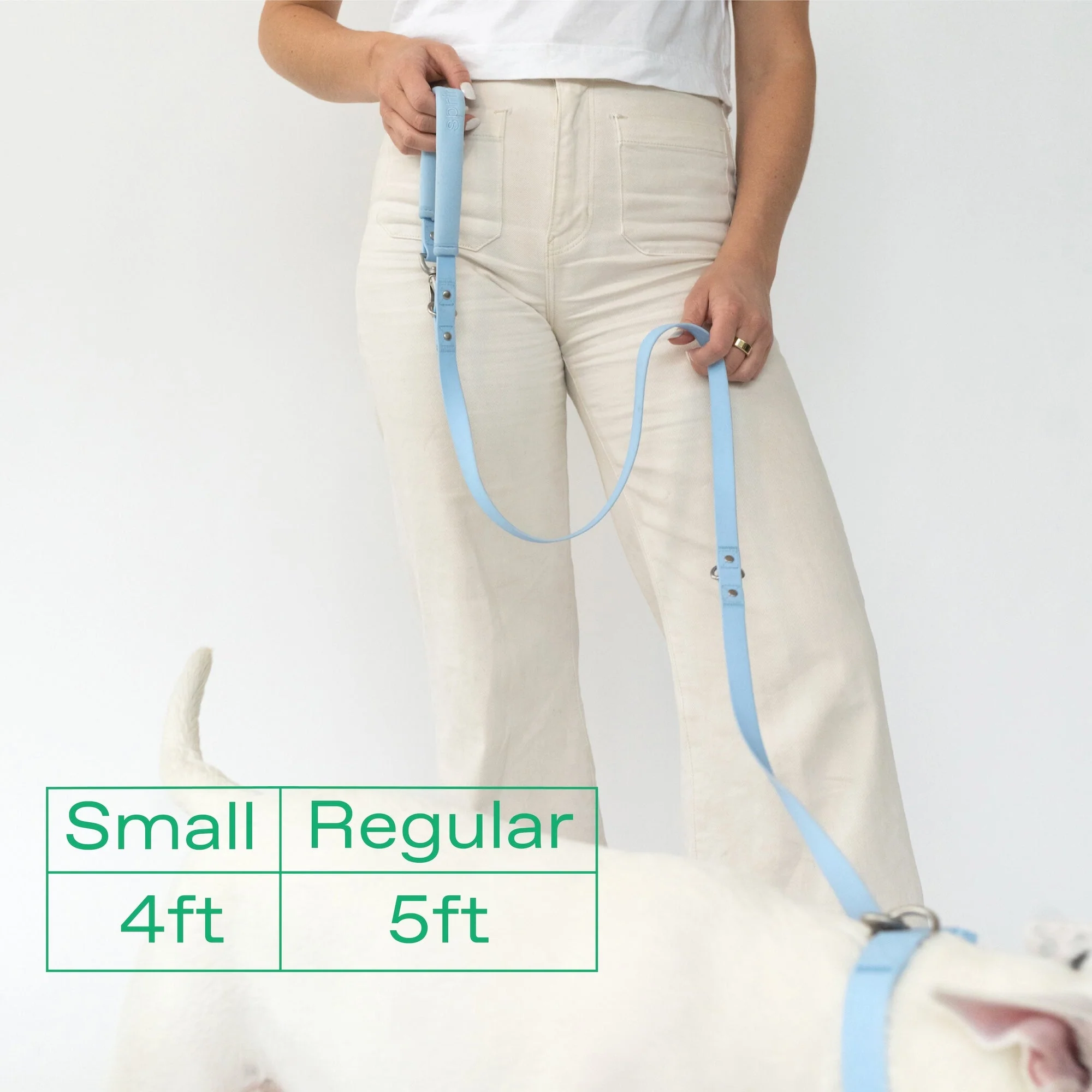 Original Dog Leash with Neoprene Handle - Image 13