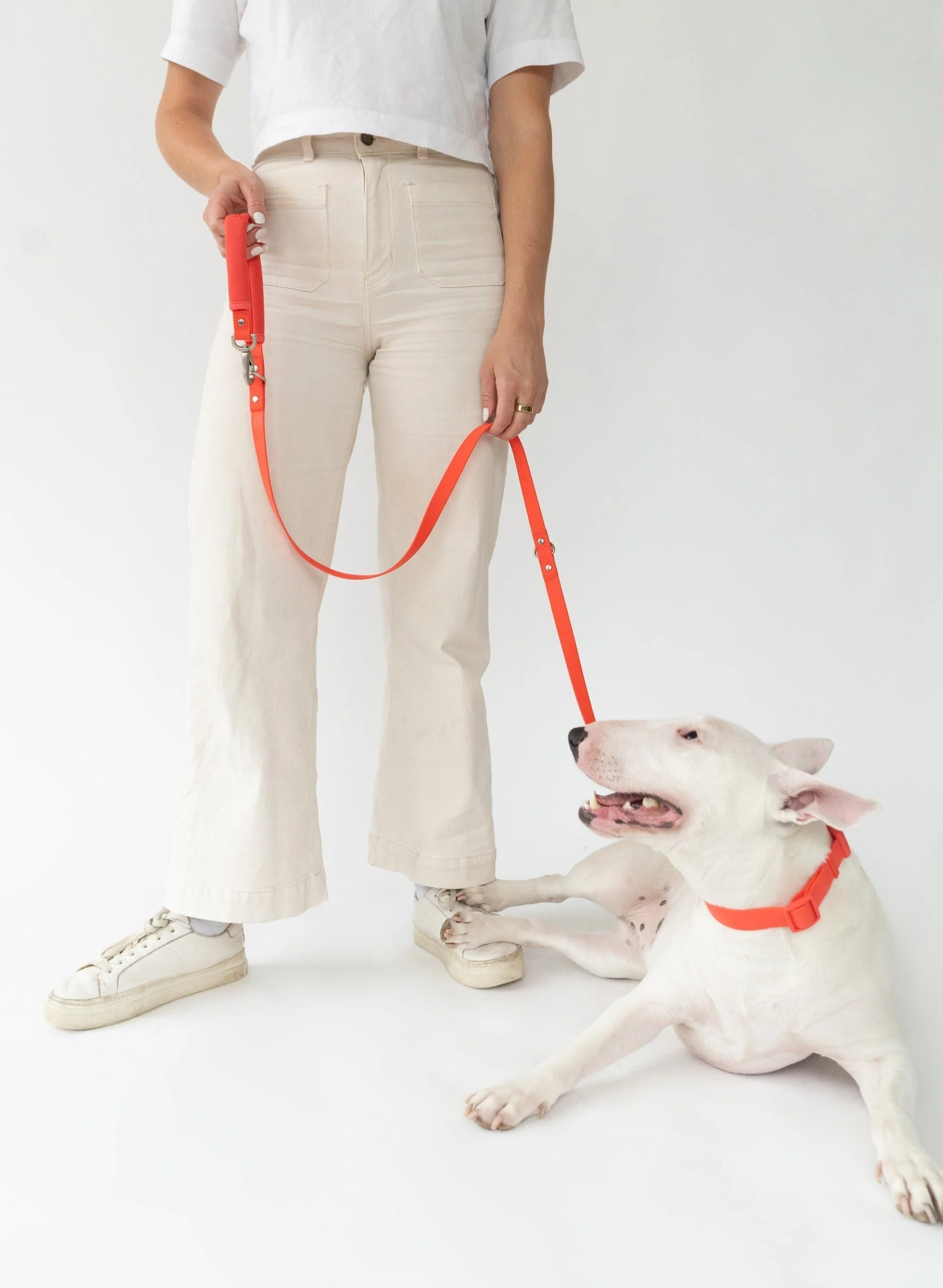 Original Dog Leash with Neoprene Handle - Image 3