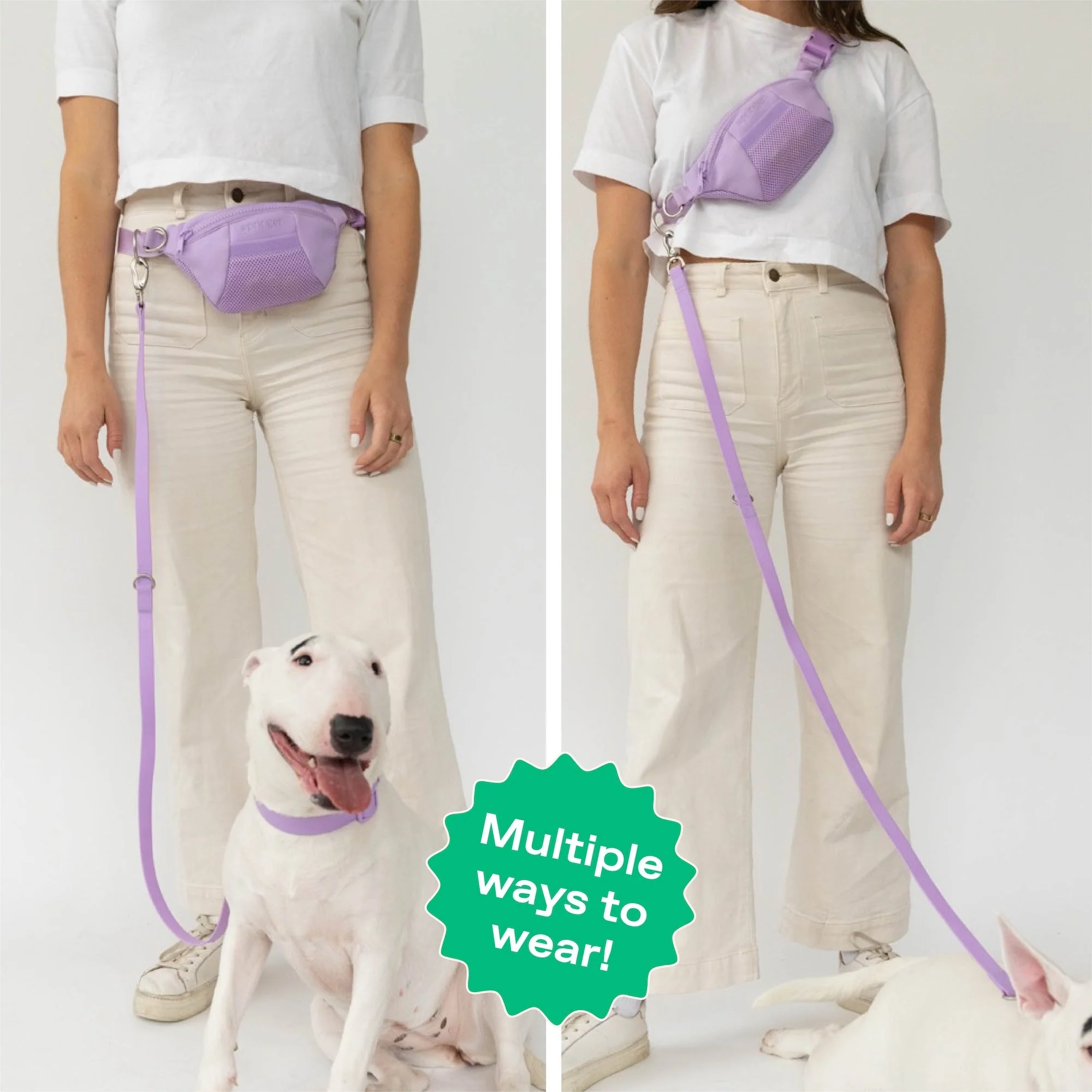 Original Hands-Free Neoprene Dog Walking Bag with 3.25ft Leash - Image 2