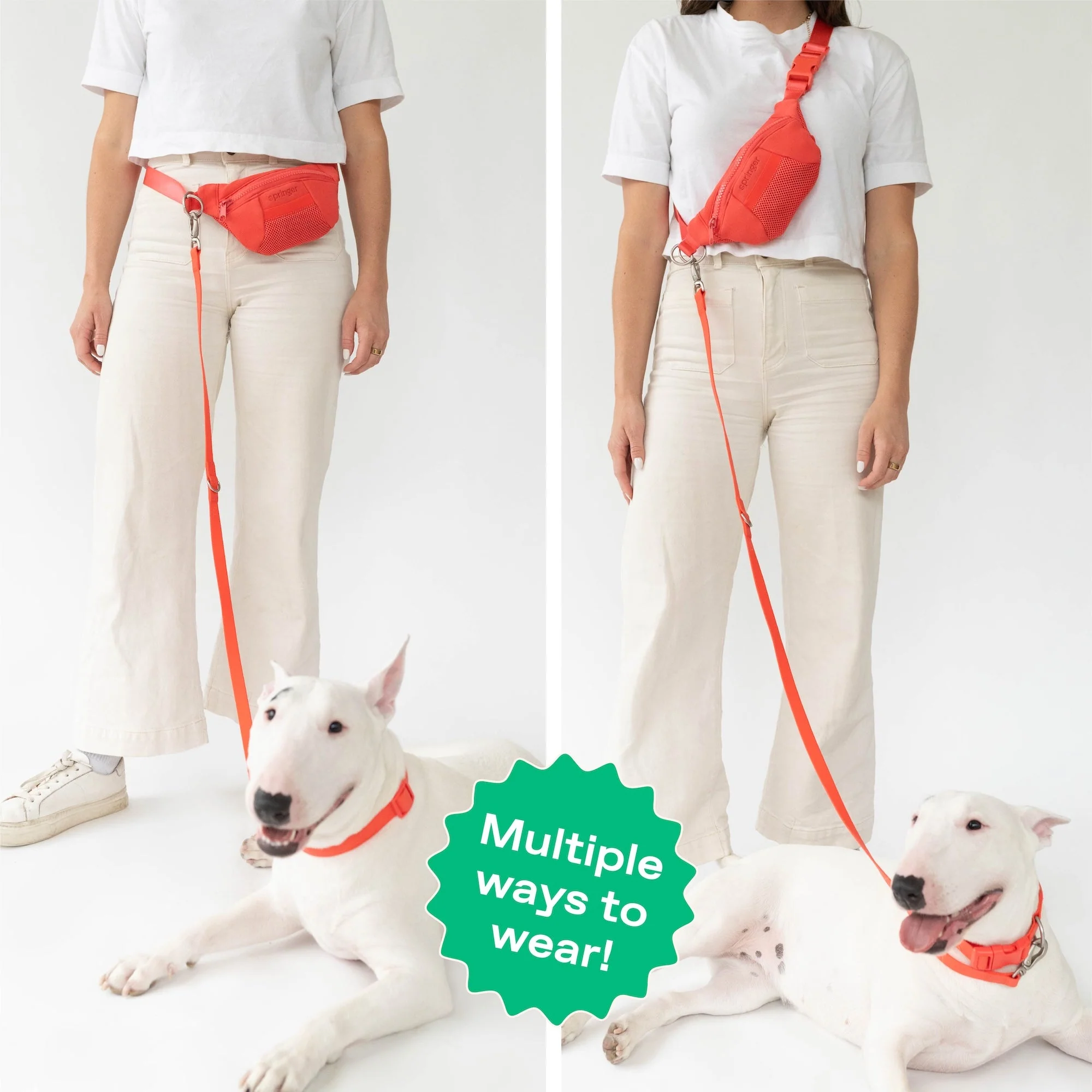 Original Hands-Free Neoprene Dog Walking Bag with 3.25ft Leash - Image 6
