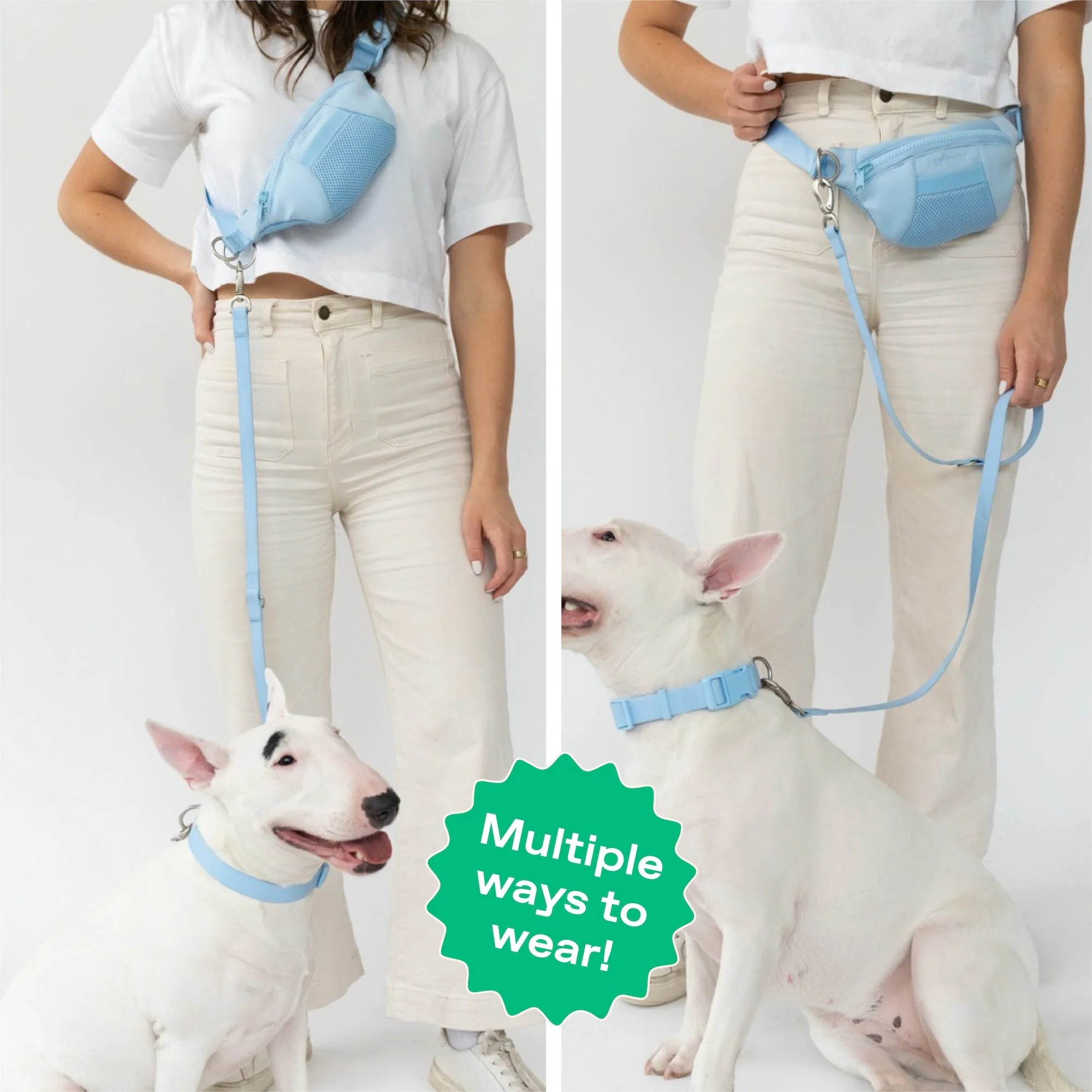 Original Hands-Free Neoprene Dog Walking Bag with 3.25ft Leash - Image 9