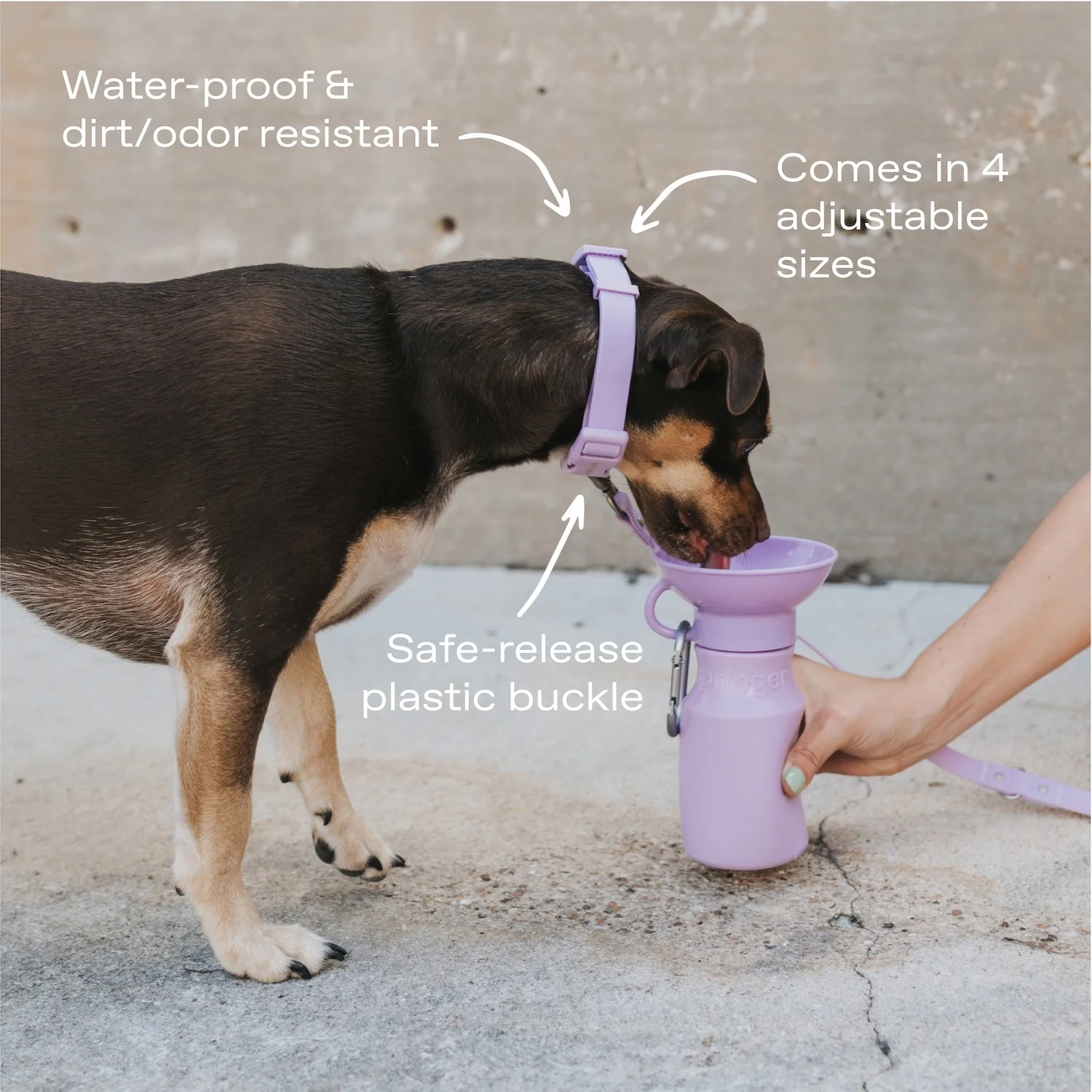 Original Waterproof Dog Collar - Image 17