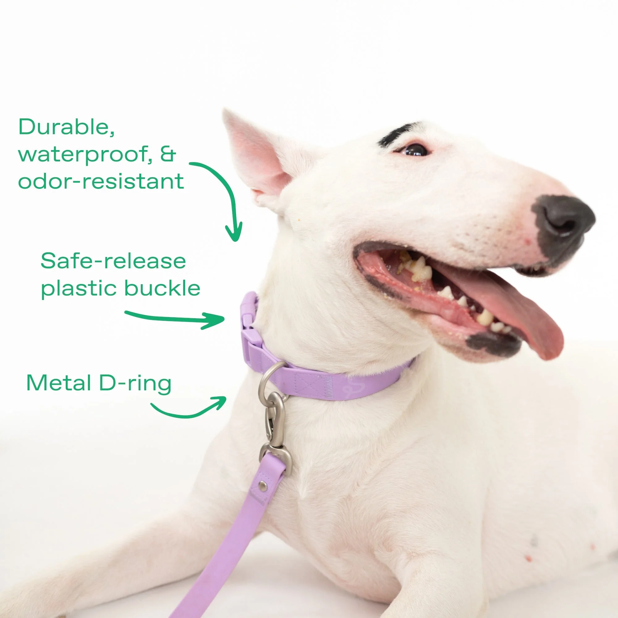 Original Waterproof Dog Collar - Image 21
