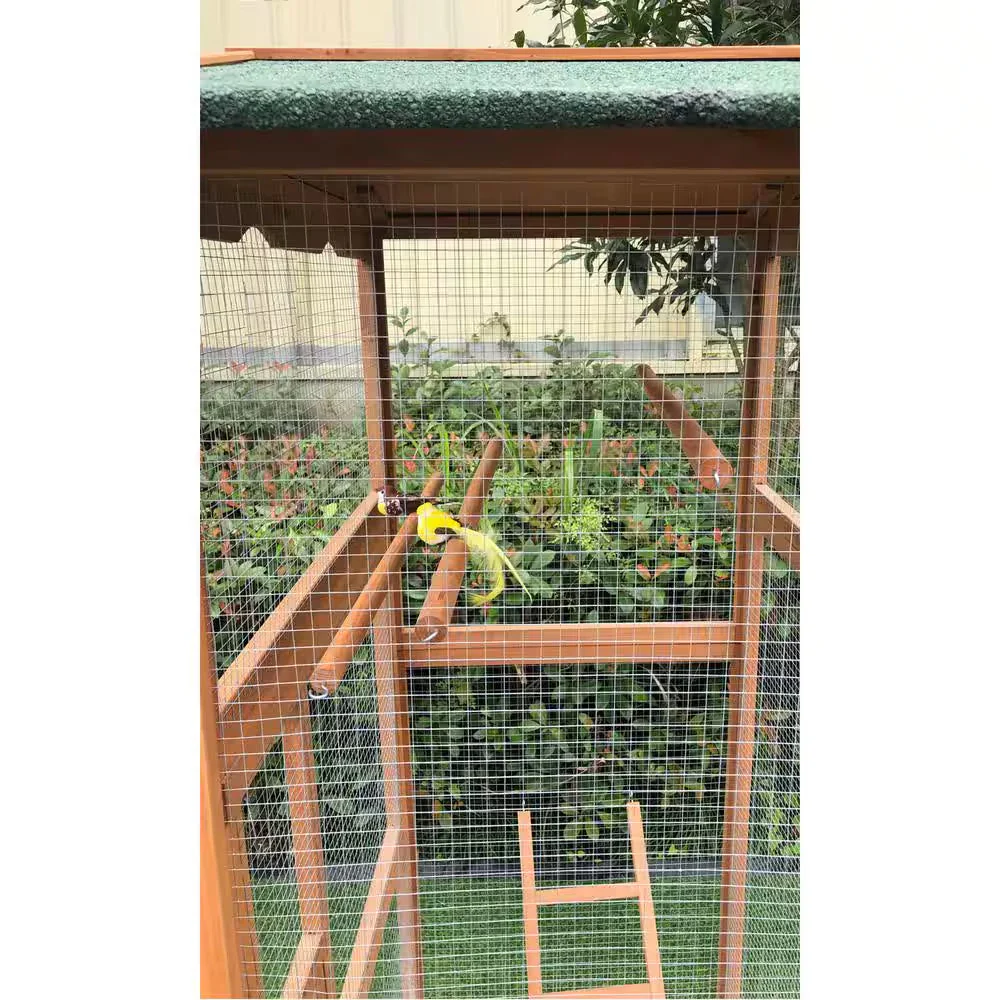 Outdoor Wooden Bird Cage - Image 8