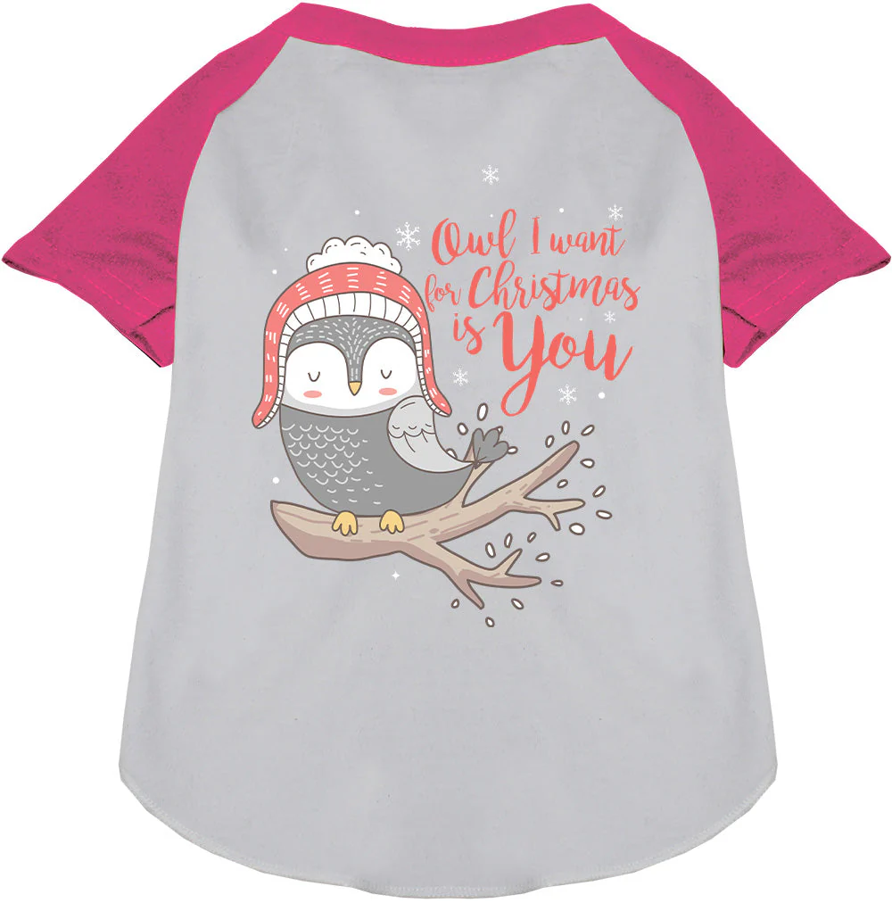 Owl I Want For Christmas Pet Raglan Shirt - Image 4
