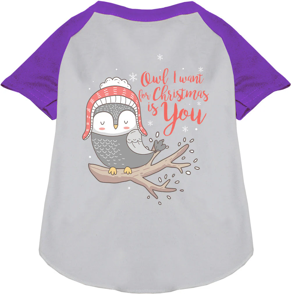 Owl I Want For Christmas Pet Raglan Shirt - Image 6