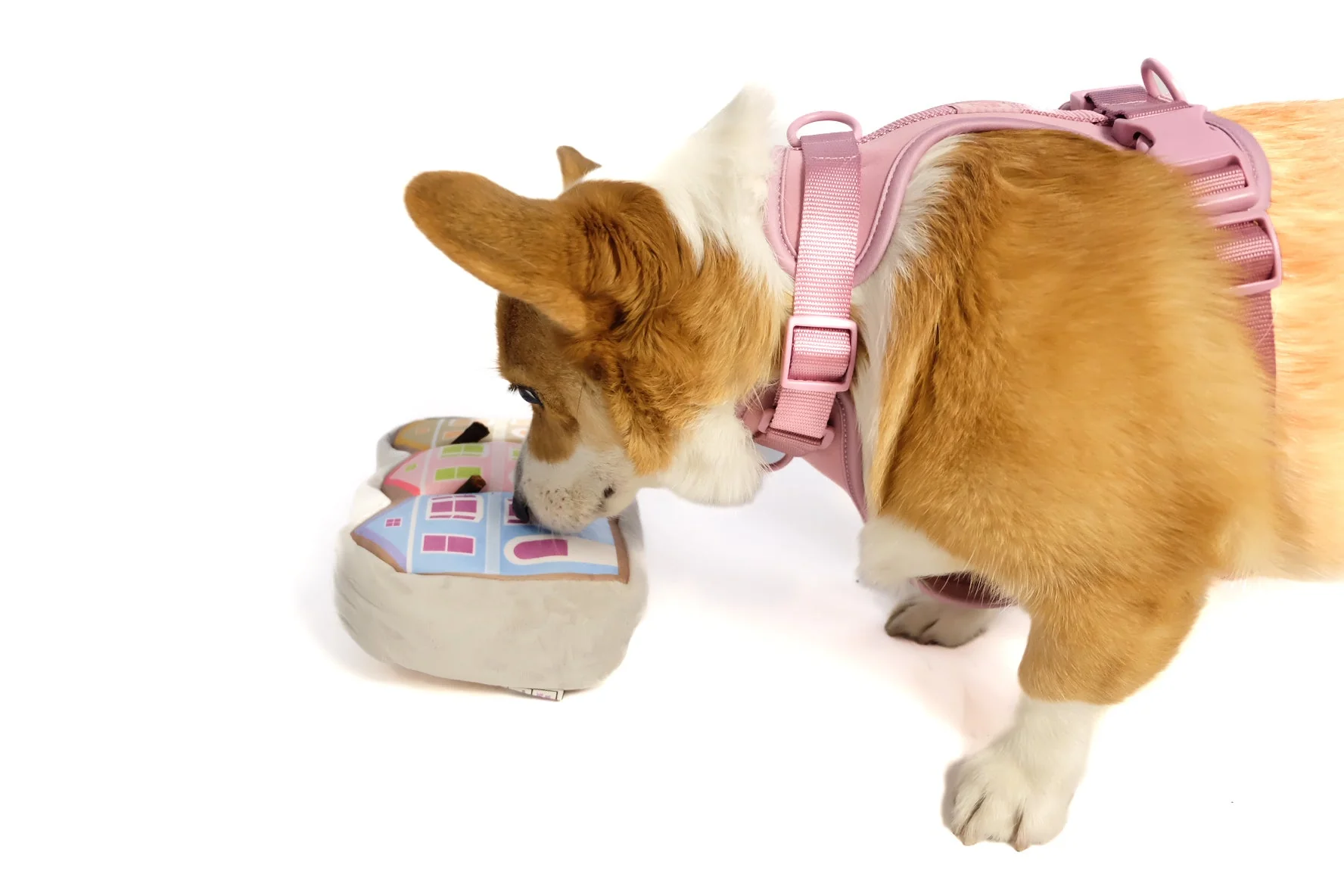 Painted Ladies Nose Work Dog Toy - Image 2