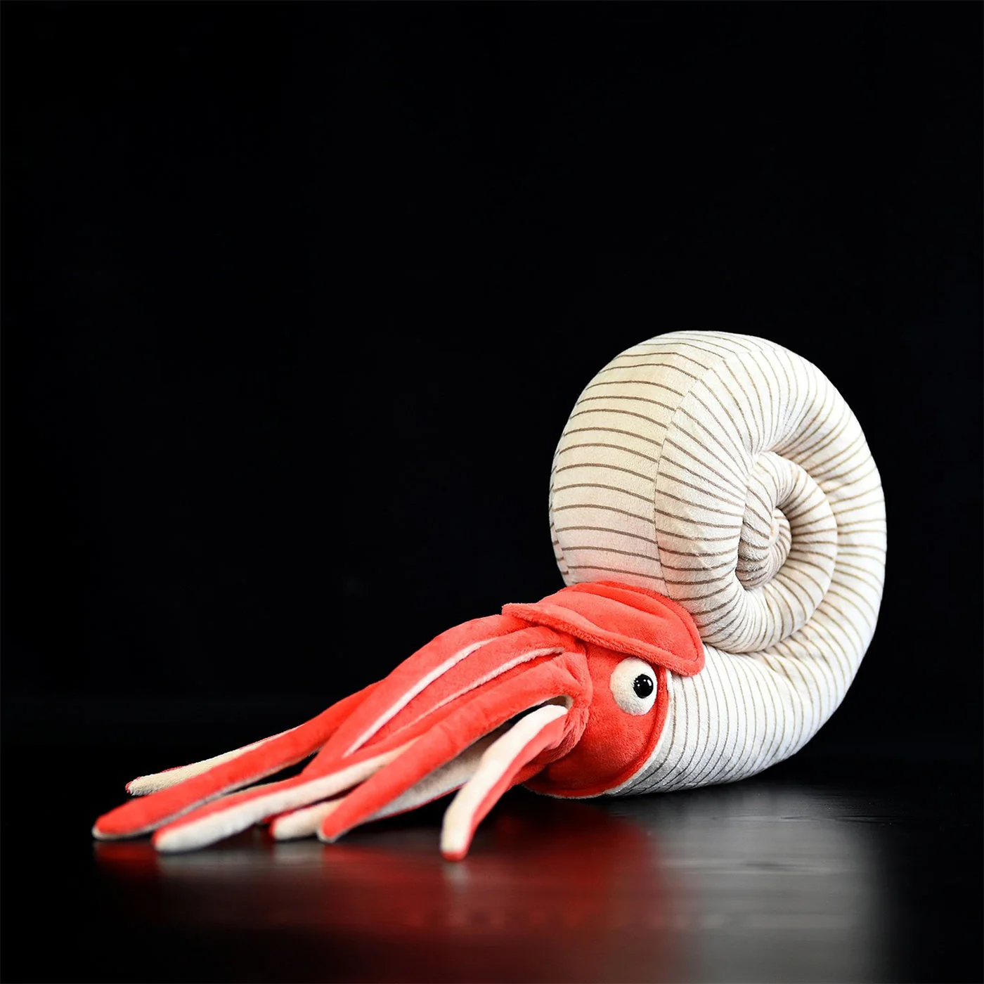Paleontology Series Ammonite Plush Toys - Image 3