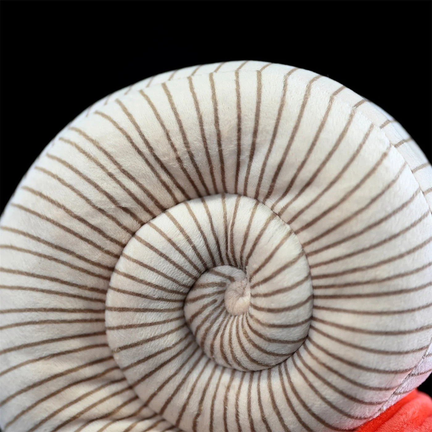 Paleontology Series Ammonite Plush Toys - Image 4