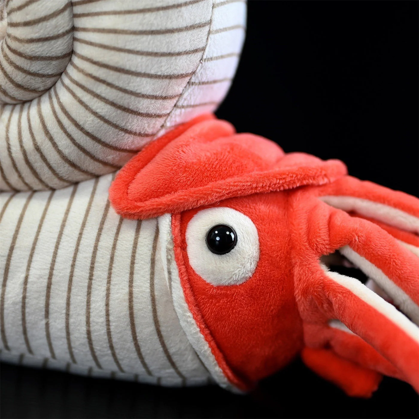 Paleontology Series Ammonite Plush Toys - Image 8