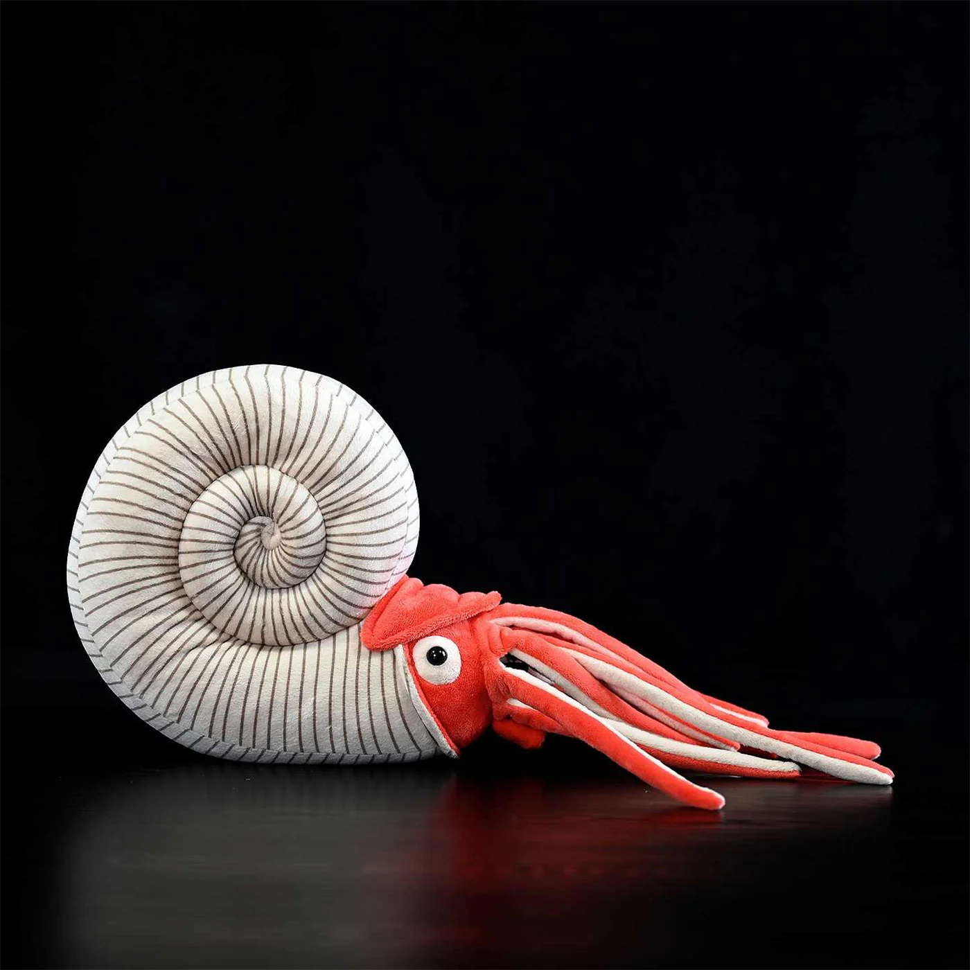 Paleontology Series Ammonite Plush Toys - Image 9