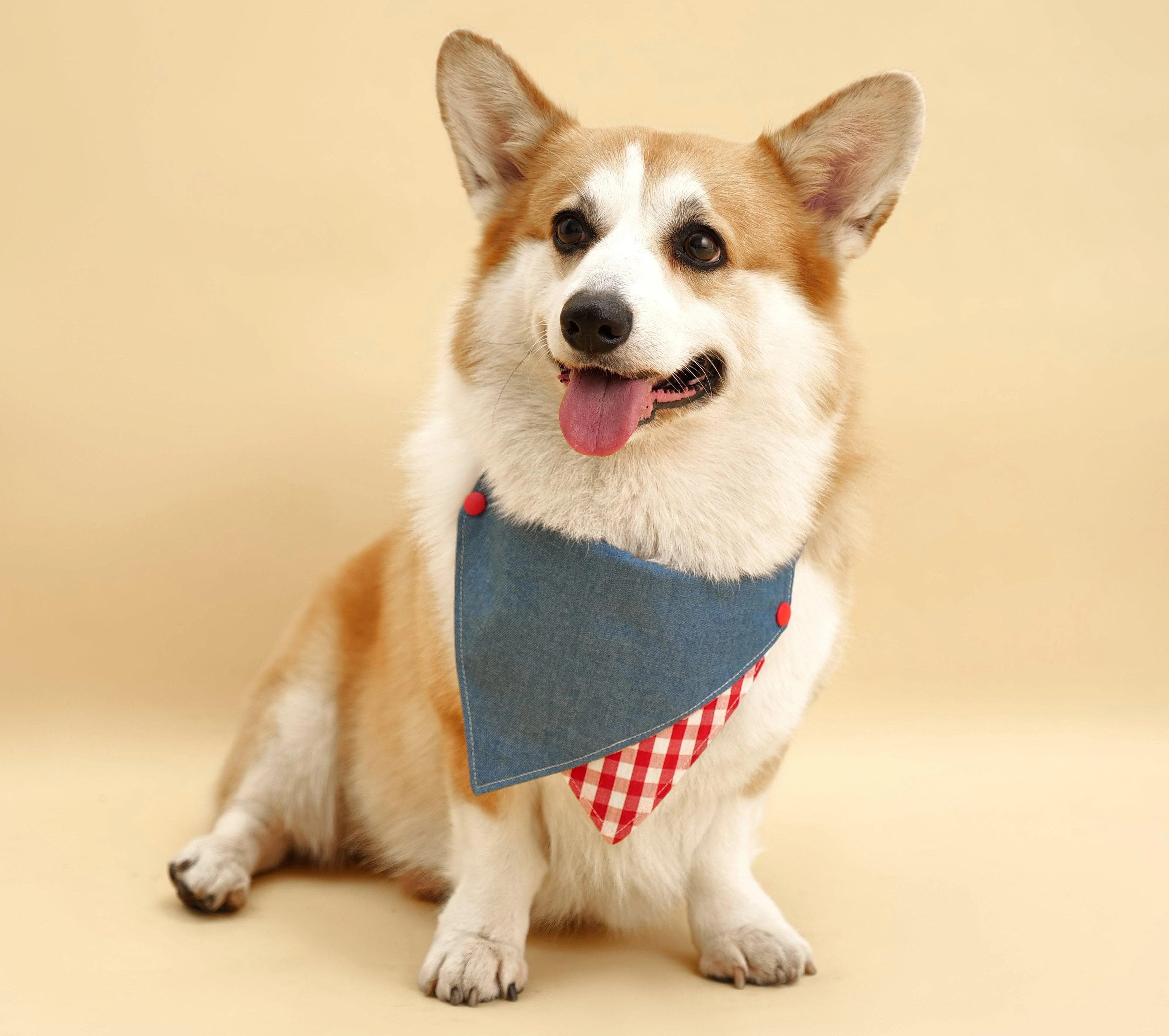 Park Day Denim Gingham Print Handmade Bandana - Image 2