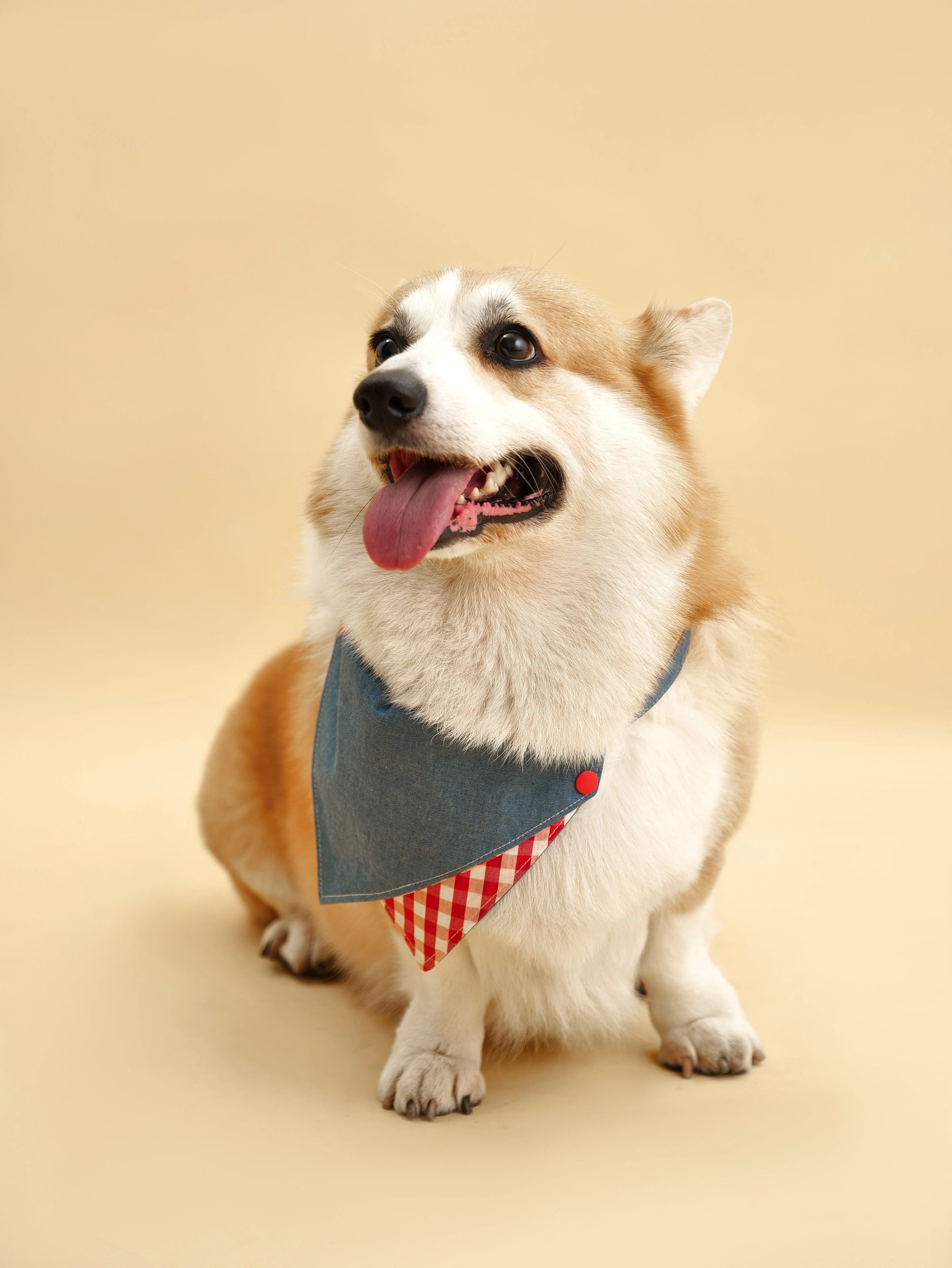 Park Day Denim Gingham Print Handmade Bandana - Image 4