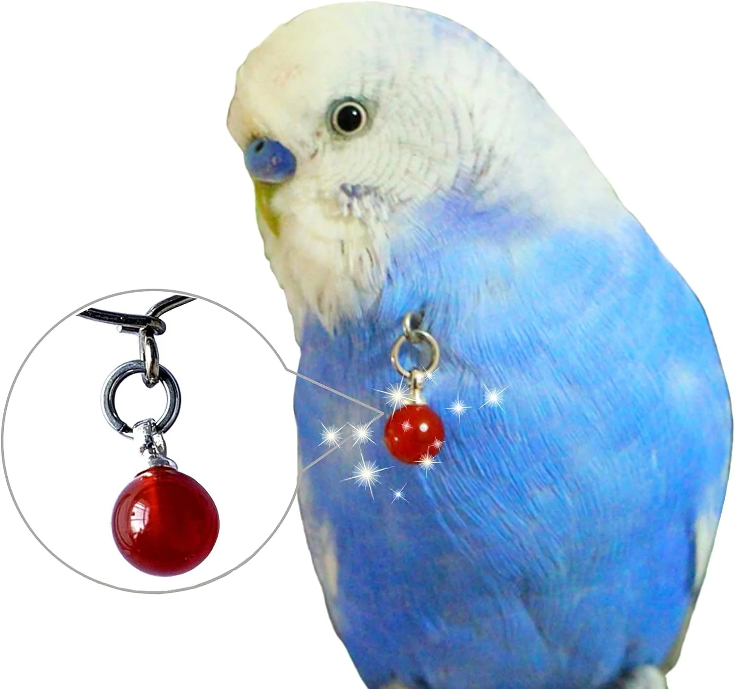 Parrot Bells Parrot Collar Necklace Parrot Decoration Parrot Scarf Clothes Budgerigar Peony Parrot Cockatiel Golden Sun Parrot - Image 2
