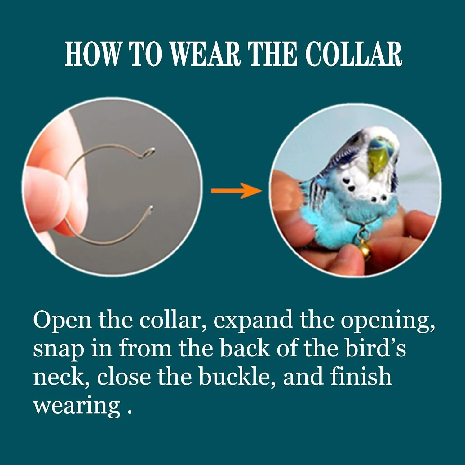 Parrot Bells Parrot Collar Necklace Parrot Decoration Parrot Scarf Clothes Budgerigar Peony Parrot Cockatiel Golden Sun Parrot - Image 6