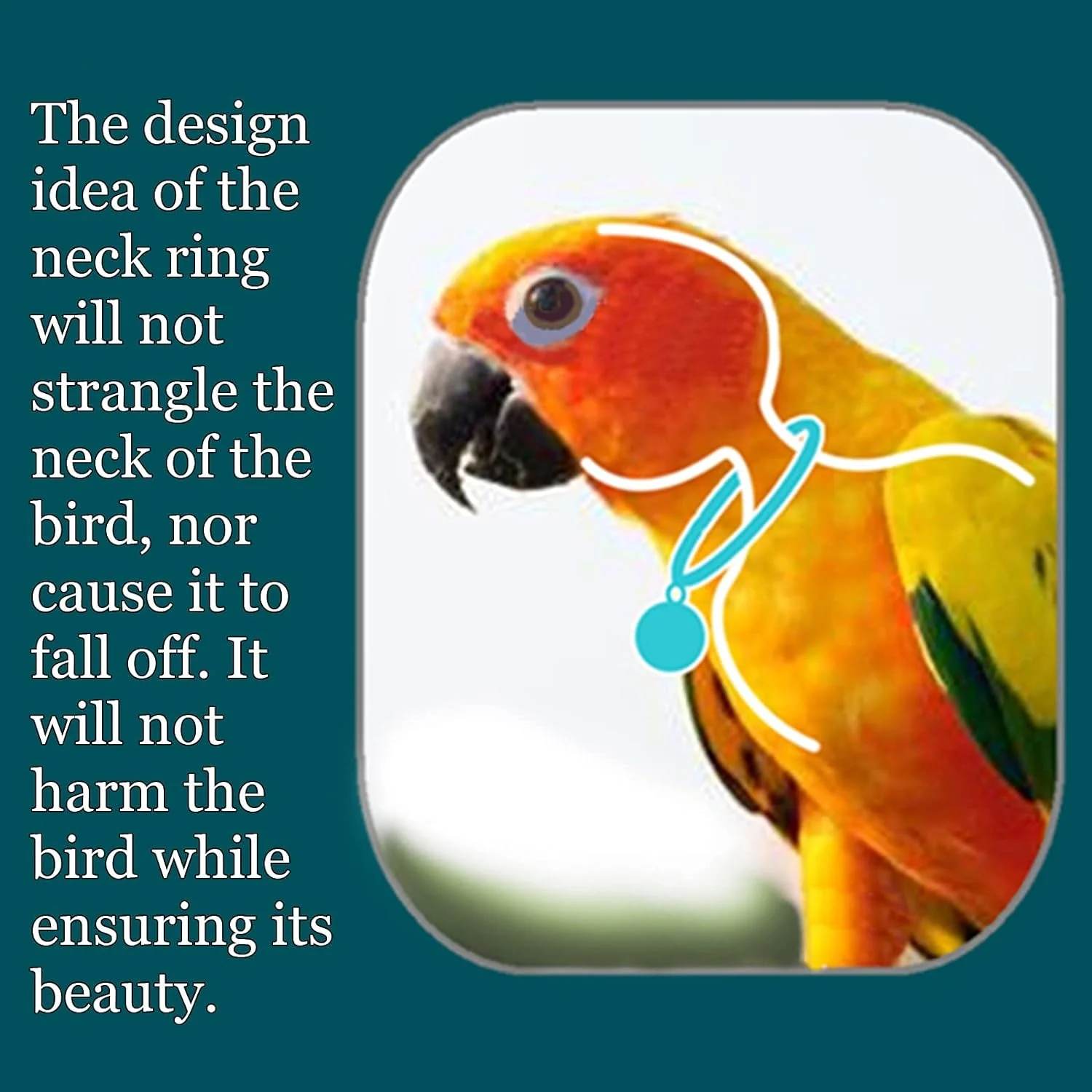 Parrot Bells Parrot Collar Necklace Parrot Decoration Parrot Scarf Clothes Budgerigar Peony Parrot Cockatiel Golden Sun Parrot - Image 7