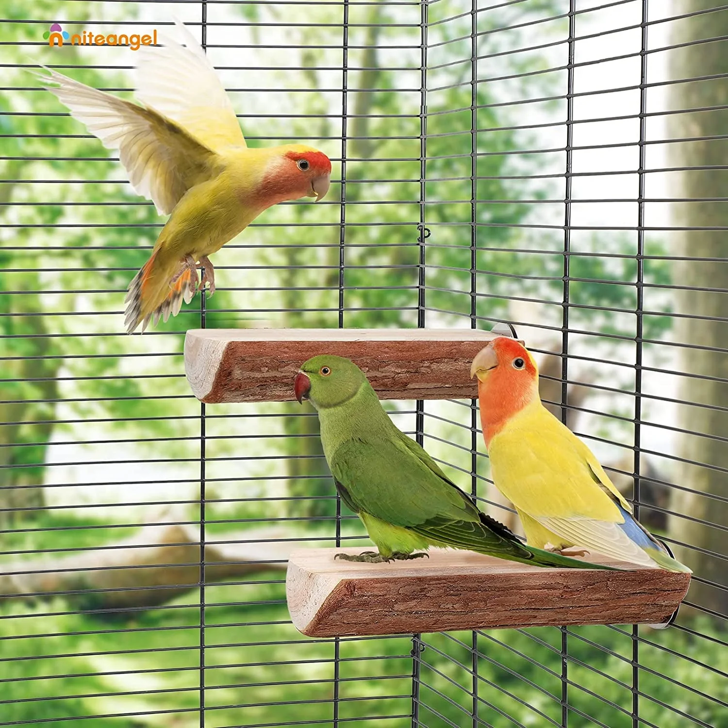 Parrot Cage Perch, Wooden Platform for Birds (2 Packs) - Image 3
