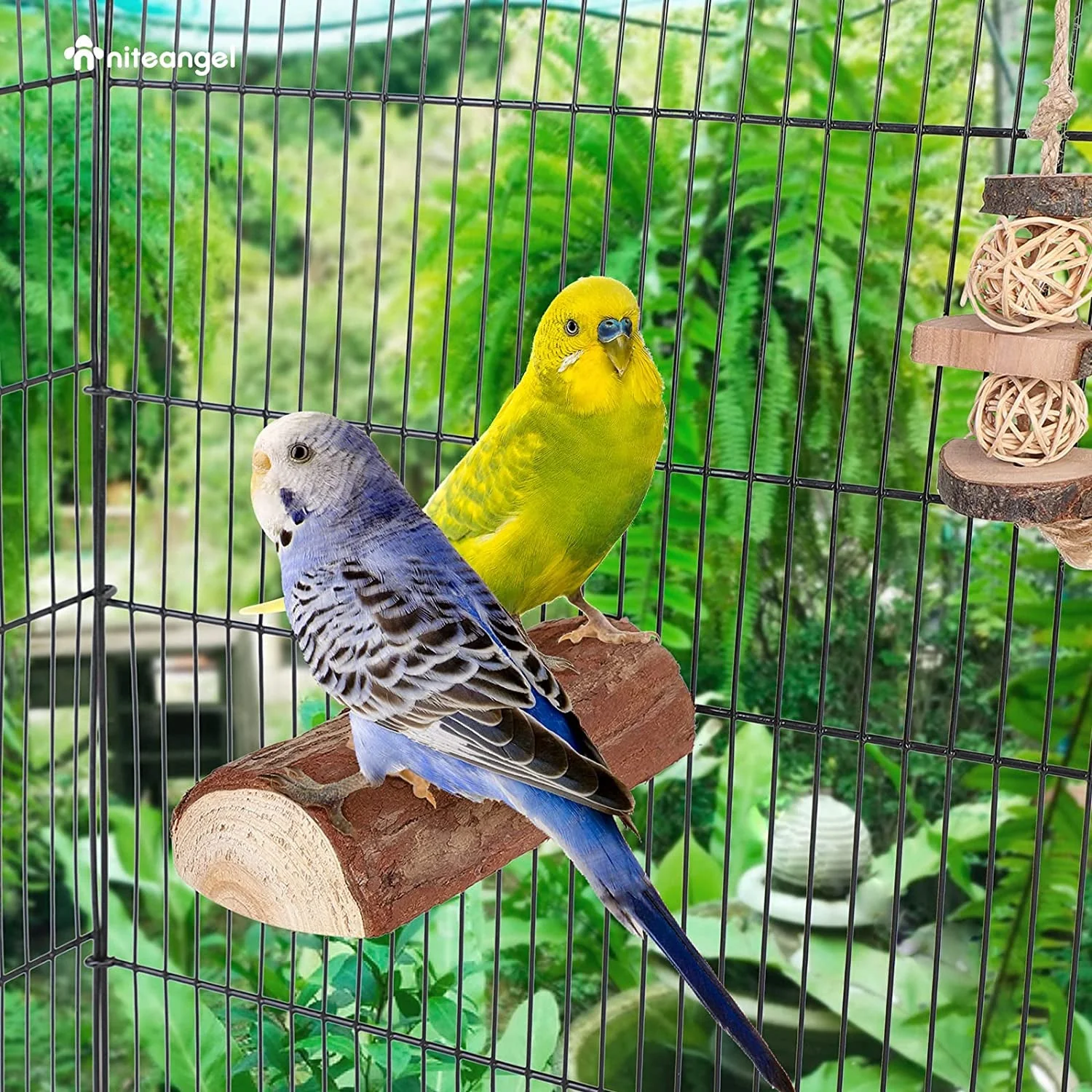Parrot Cage Perch, Wooden Platform for Birds (2 Packs) - Image 5