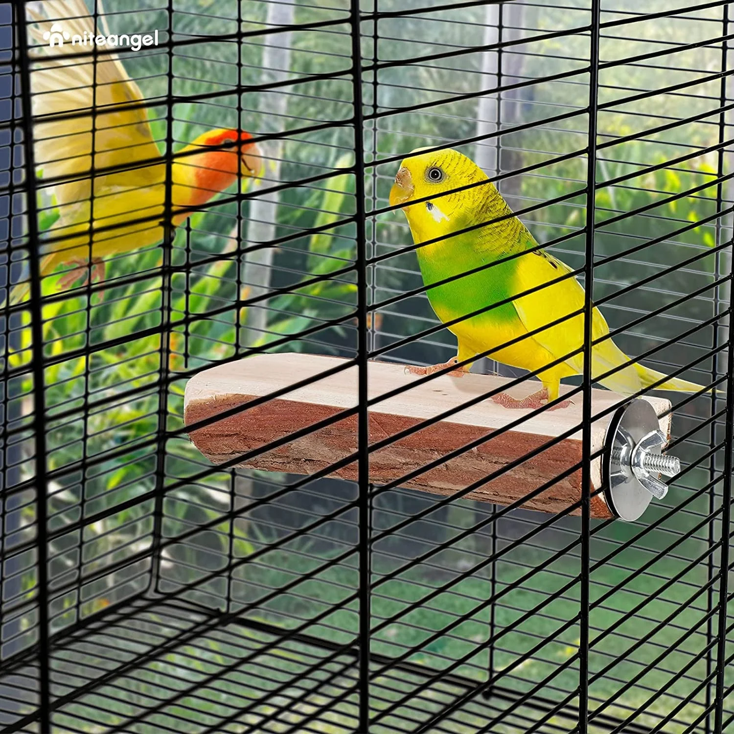 Parrot Cage Perch, Wooden Platform for Birds (2 Packs) - Image 6