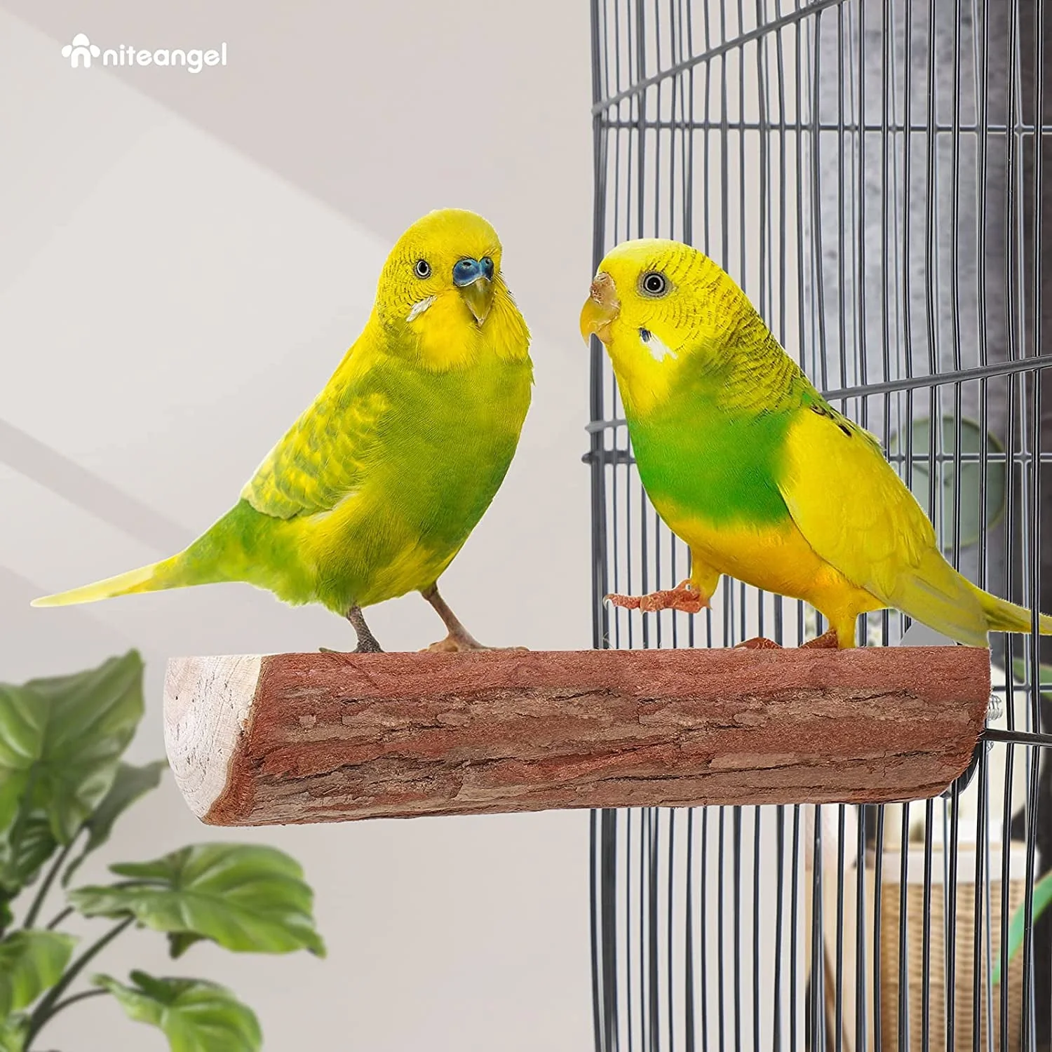 Parrot Cage Perch, Wooden Platform for Birds (2 Packs) - Image 7