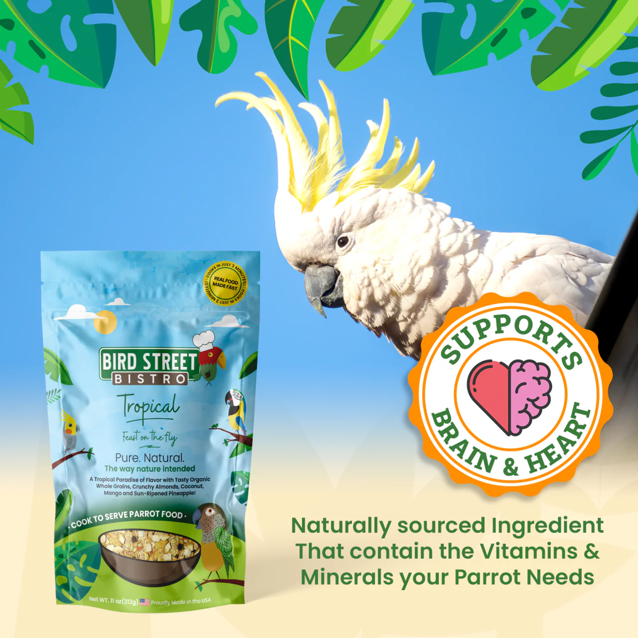 Parrot Food Super-Pack - Image 3