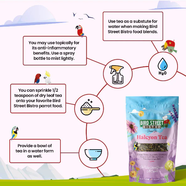 Parrot Food Super-Pack - Image 5