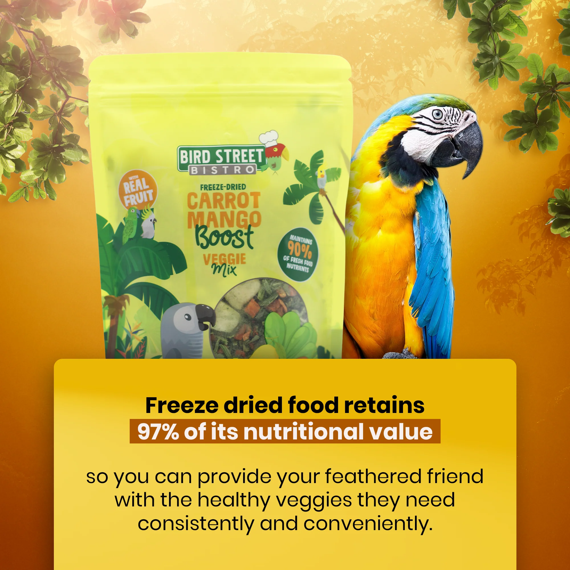 Parrot Food Super-Pack - Image 6