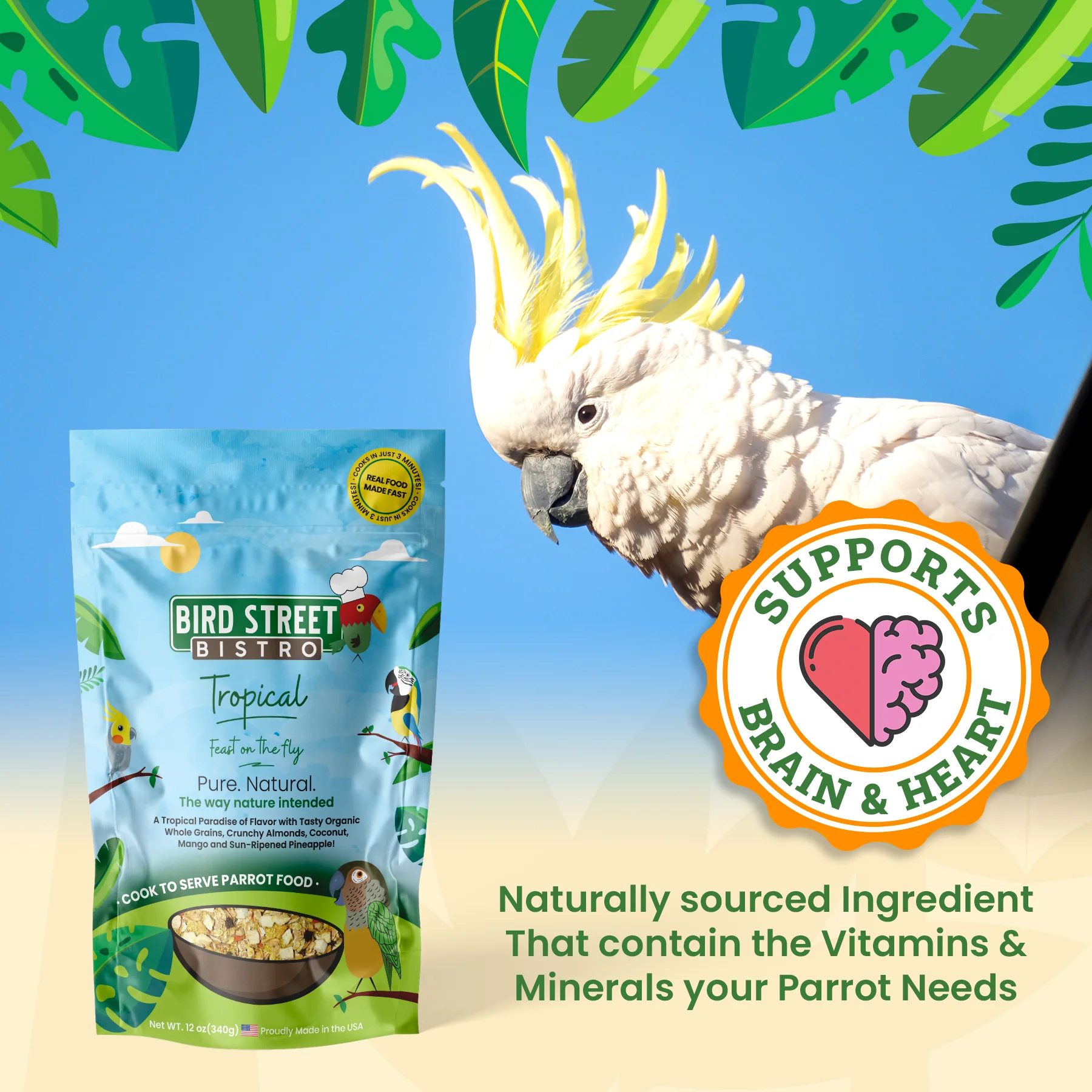 Parrot Food Variety Pack - Image 3