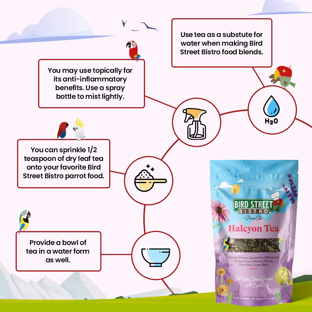 Parrot Tea Bundle Pack - Image 3