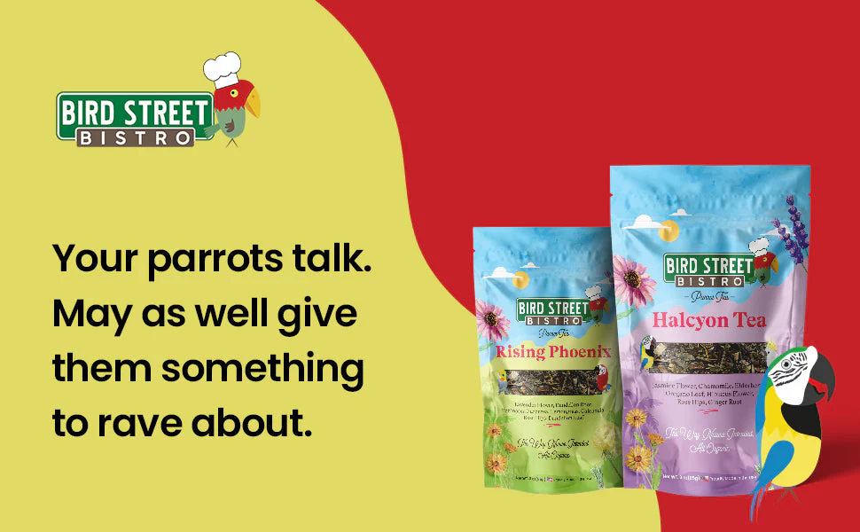 Parrot Tea Bundle Pack - Image 7