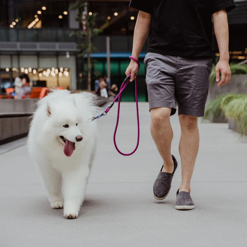 Patented Magnetic Dog Leash - One-Hand Connect & Release - Image 5