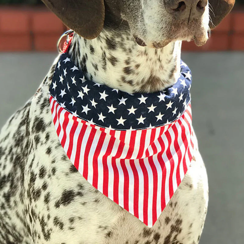 Patriotic Stars and Stripes Dog Bandana - Image 9