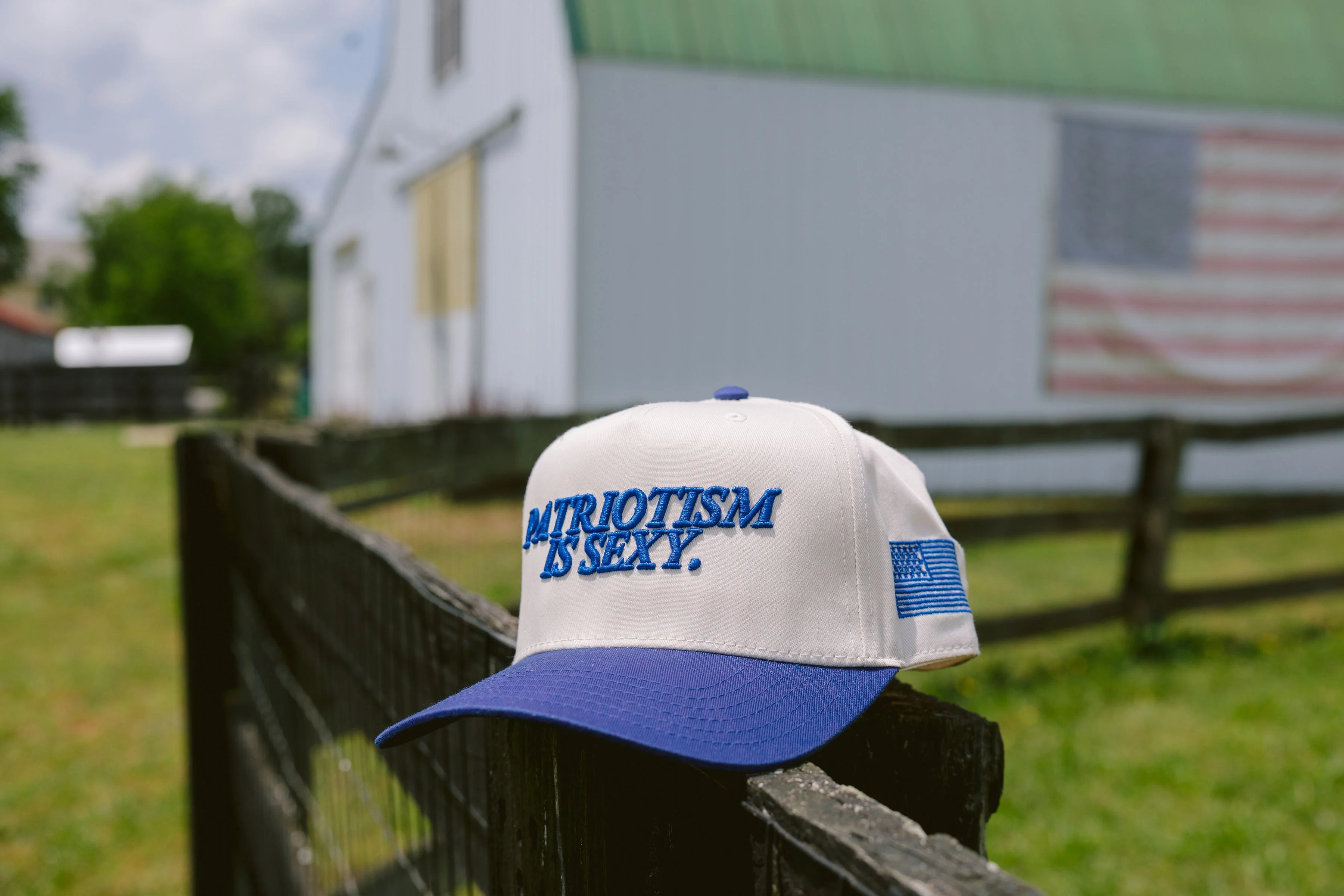 Patriotism is Sexy. - Royal Blue Vintage Hat - Image 4