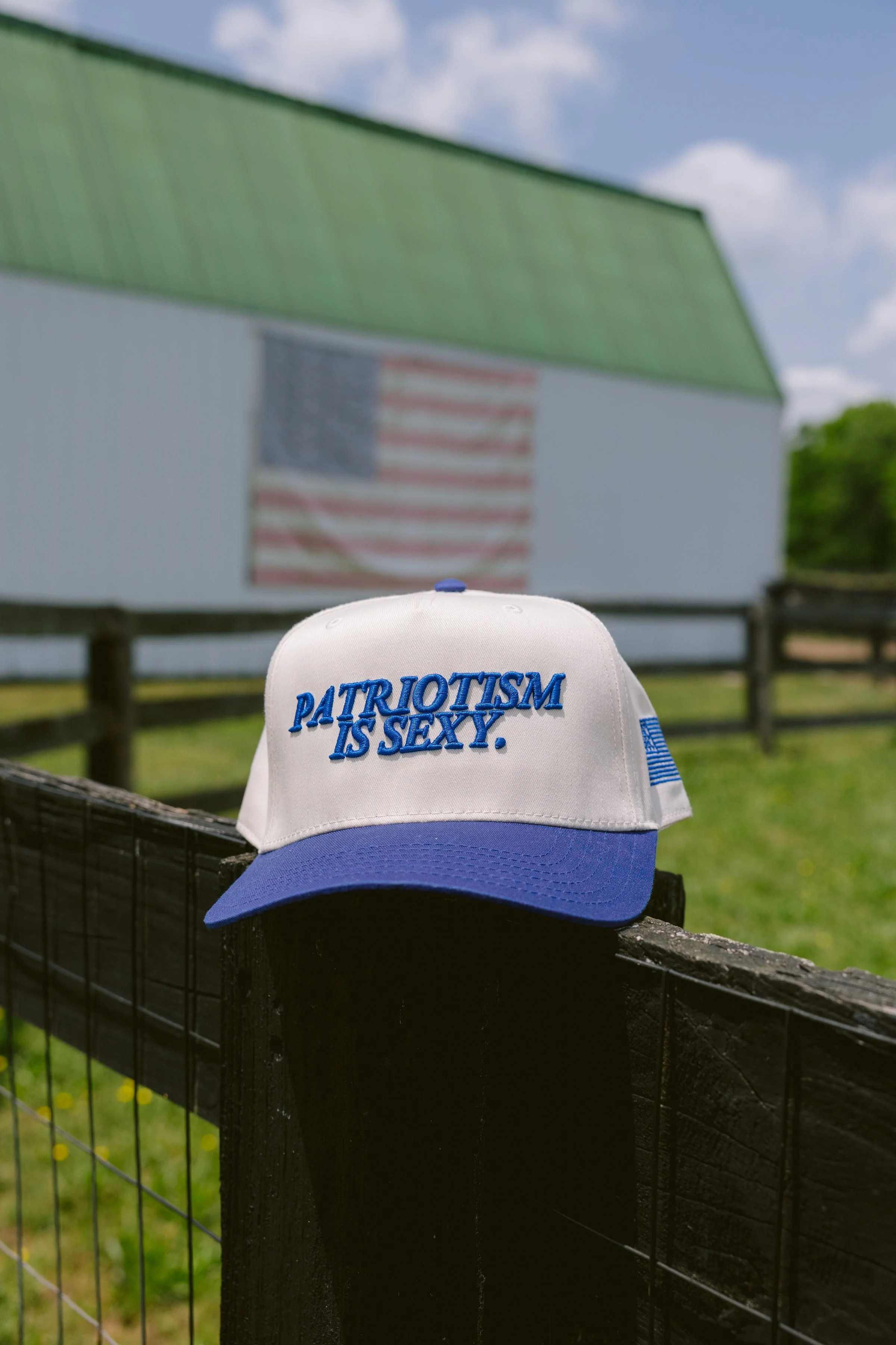 Patriotism is Sexy. - Royal Blue Vintage Hat - Image 5