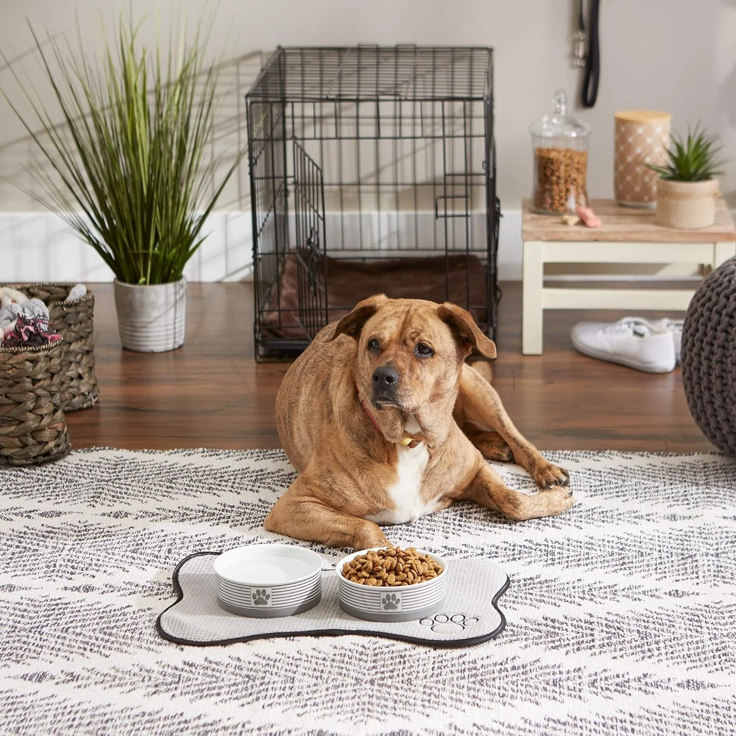 Paw & Patch Ceramic Pet Collection, Medium Set, 6X2", Gray, 2 Piece - Image 8