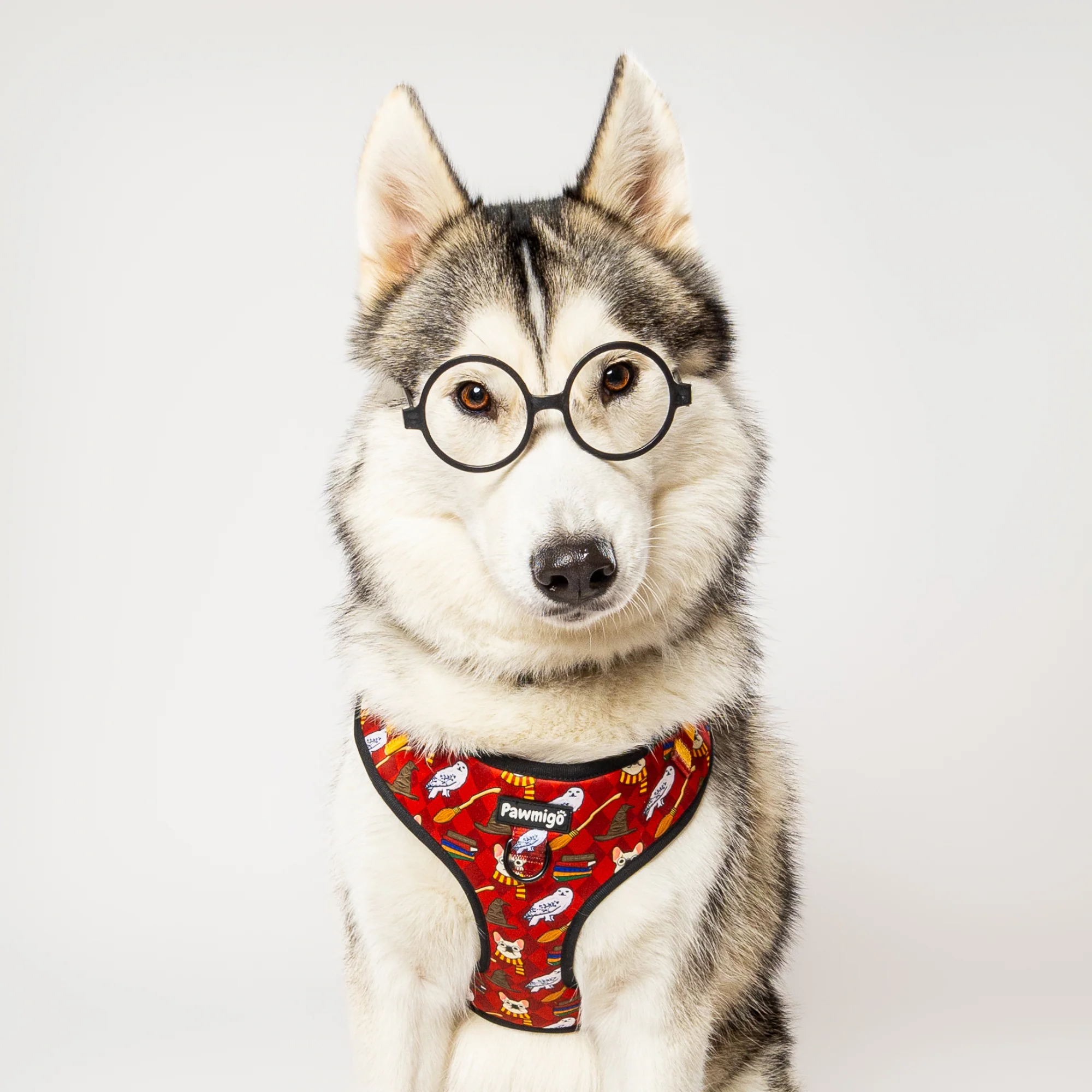 Pawgwarts Everyday Adjustable No-Pull Dog Harness - Image 3