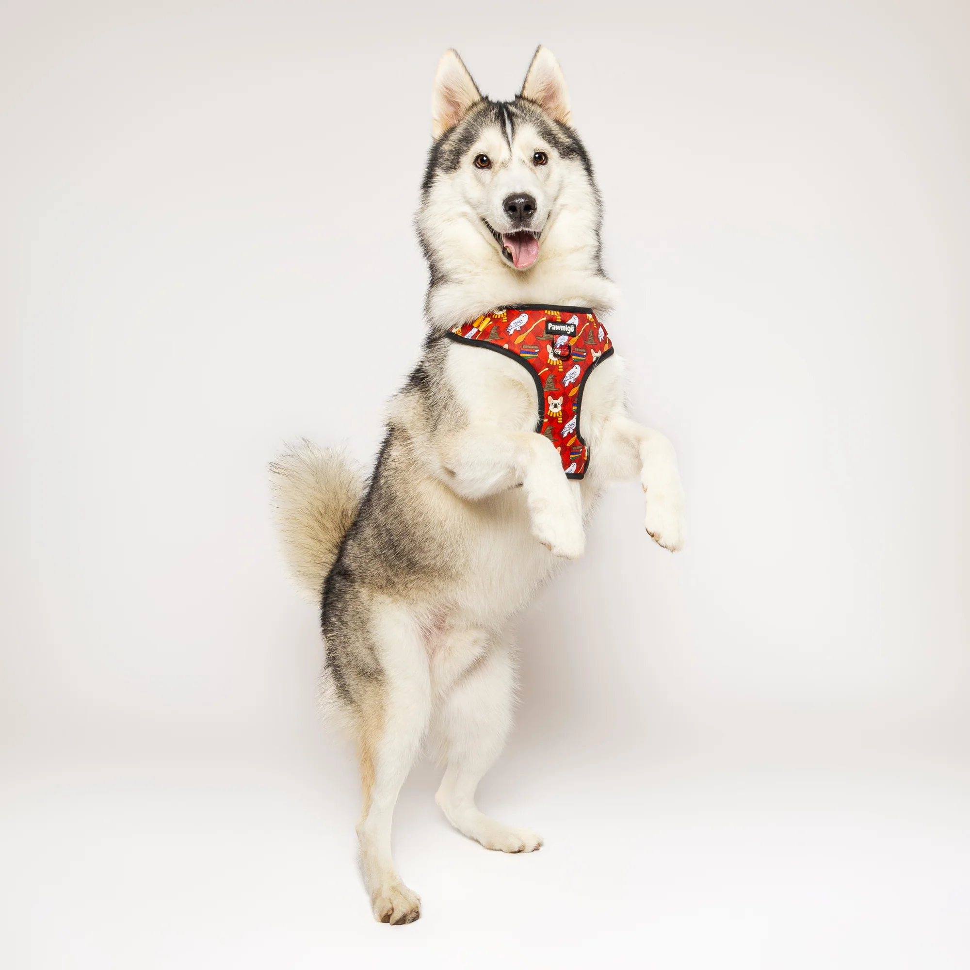 Pawgwarts Everyday Adjustable No-Pull Dog Harness - Image 5